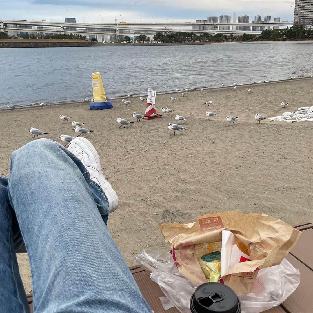 福村飛翔のインスタグラム：「お台場の鳥はかなりがめつくて苦手です」
