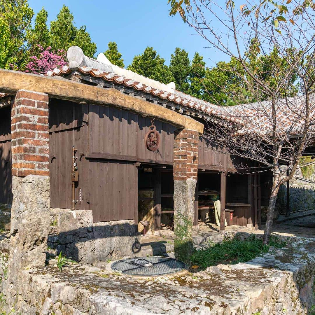 Be.okinawaさんのインスタグラム写真 - (Be.okinawaInstagram)「Step back in time⏳with a visit to the Nakamura House, a traditional Okinawan farmhouse built in the 1700s. Its architecture and design are typical of the period, such as the roadside stone slab wall to block unwelcome spirits.👻 The property, complete with a beautiful garden and 250-year-old fukugi trees, is maintained by the family’s 12th generation.🌲  在建於1700年代的沖繩傳統農家「中村家住宅」中，來場時空穿越之旅⏳。用於避邪的路邊石板牆等都是當時典型的建築和設計👻。種有樹齡250年福木樹的美麗庭園，正由第12代家族負責管理著🌲。  1700년대에 지어진 오키나와의 전통 농가 "나카무라가 주택"에서 떠나는 시간여행⏳ 사악한 기운을 차단하기 위해 길가에 만들어 둔 석판으로 된 벽 등, 당시의 전형적인 건축과 디자인을 감상하실 수 있습니다. 👻 수령 250년의 복나무가 있는 아름다운 정원은 12대째인 가족들이 관리하고 있습니다.🌲  #visitokinawa #okinawatrip #okinawaphoto #okinawajapan #japaneseislands #japantravel #japan #explorejapan #discoverjapan #visitjapan #japantrip #japanphoto #japantourism #okinawa  #okinawanarchitecture #fukugitree #nakamurake #沖縄 #沖縄観光 #沖繩 #오키나와 #旅行 #여행 #打卡 #여행스타그램」3月16日 22時00分 - visitokinawajapan