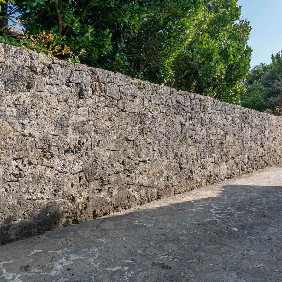 Be.okinawaさんのインスタグラム写真 - (Be.okinawaInstagram)「Step back in time⏳with a visit to the Nakamura House, a traditional Okinawan farmhouse built in the 1700s. Its architecture and design are typical of the period, such as the roadside stone slab wall to block unwelcome spirits.👻 The property, complete with a beautiful garden and 250-year-old fukugi trees, is maintained by the family’s 12th generation.🌲  在建於1700年代的沖繩傳統農家「中村家住宅」中，來場時空穿越之旅⏳。用於避邪的路邊石板牆等都是當時典型的建築和設計👻。種有樹齡250年福木樹的美麗庭園，正由第12代家族負責管理著🌲。  1700년대에 지어진 오키나와의 전통 농가 "나카무라가 주택"에서 떠나는 시간여행⏳ 사악한 기운을 차단하기 위해 길가에 만들어 둔 석판으로 된 벽 등, 당시의 전형적인 건축과 디자인을 감상하실 수 있습니다. 👻 수령 250년의 복나무가 있는 아름다운 정원은 12대째인 가족들이 관리하고 있습니다.🌲  #visitokinawa #okinawatrip #okinawaphoto #okinawajapan #japaneseislands #japantravel #japan #explorejapan #discoverjapan #visitjapan #japantrip #japanphoto #japantourism #okinawa  #okinawanarchitecture #fukugitree #nakamurake #沖縄 #沖縄観光 #沖繩 #오키나와 #旅行 #여행 #打卡 #여행스타그램」3月16日 22時00分 - visitokinawajapan