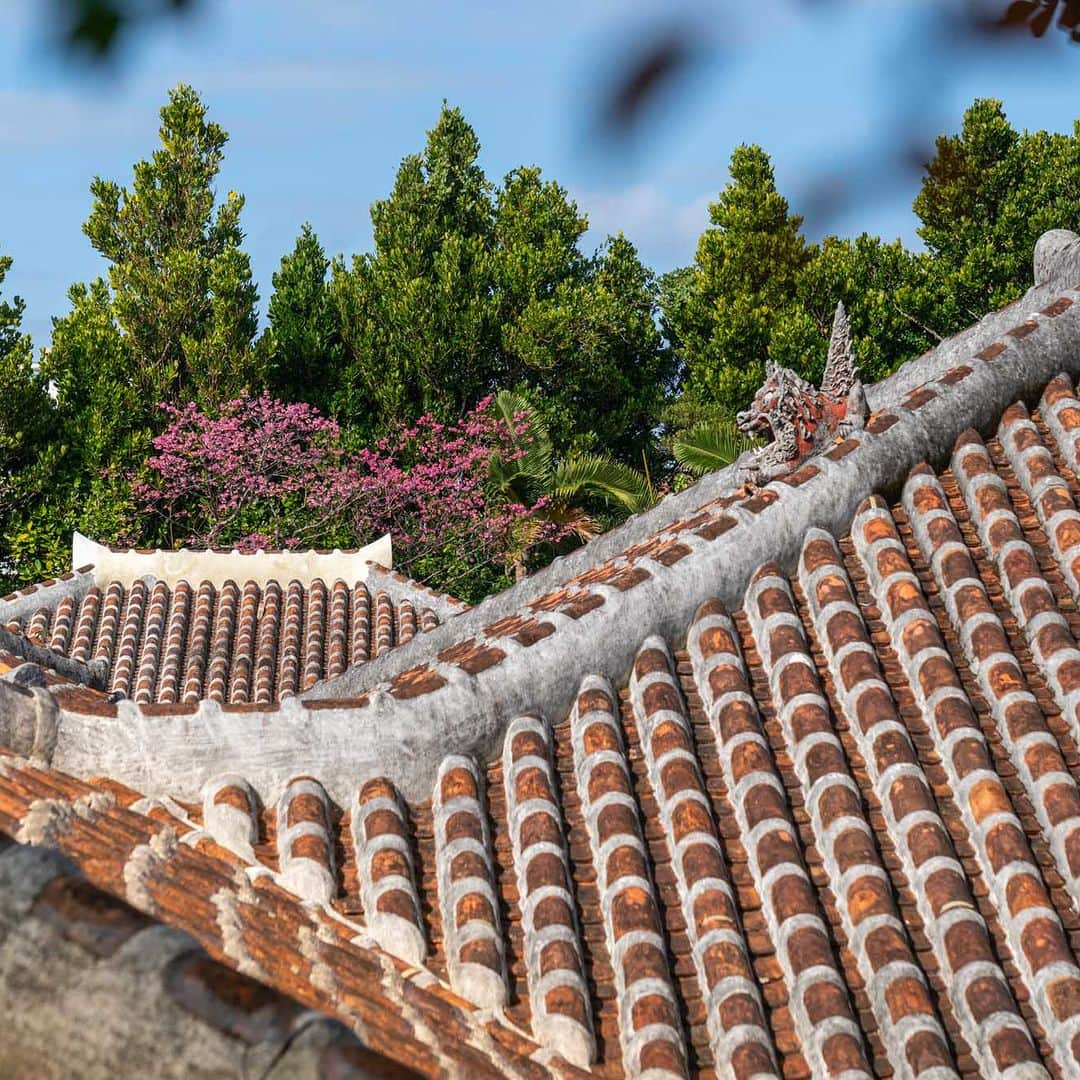 Be.okinawaさんのインスタグラム写真 - (Be.okinawaInstagram)「Step back in time⏳with a visit to the Nakamura House, a traditional Okinawan farmhouse built in the 1700s. Its architecture and design are typical of the period, such as the roadside stone slab wall to block unwelcome spirits.👻 The property, complete with a beautiful garden and 250-year-old fukugi trees, is maintained by the family’s 12th generation.🌲  在建於1700年代的沖繩傳統農家「中村家住宅」中，來場時空穿越之旅⏳。用於避邪的路邊石板牆等都是當時典型的建築和設計👻。種有樹齡250年福木樹的美麗庭園，正由第12代家族負責管理著🌲。  1700년대에 지어진 오키나와의 전통 농가 "나카무라가 주택"에서 떠나는 시간여행⏳ 사악한 기운을 차단하기 위해 길가에 만들어 둔 석판으로 된 벽 등, 당시의 전형적인 건축과 디자인을 감상하실 수 있습니다. 👻 수령 250년의 복나무가 있는 아름다운 정원은 12대째인 가족들이 관리하고 있습니다.🌲  #visitokinawa #okinawatrip #okinawaphoto #okinawajapan #japaneseislands #japantravel #japan #explorejapan #discoverjapan #visitjapan #japantrip #japanphoto #japantourism #okinawa  #okinawanarchitecture #fukugitree #nakamurake #沖縄 #沖縄観光 #沖繩 #오키나와 #旅行 #여행 #打卡 #여행스타그램」3月16日 22時00分 - visitokinawajapan