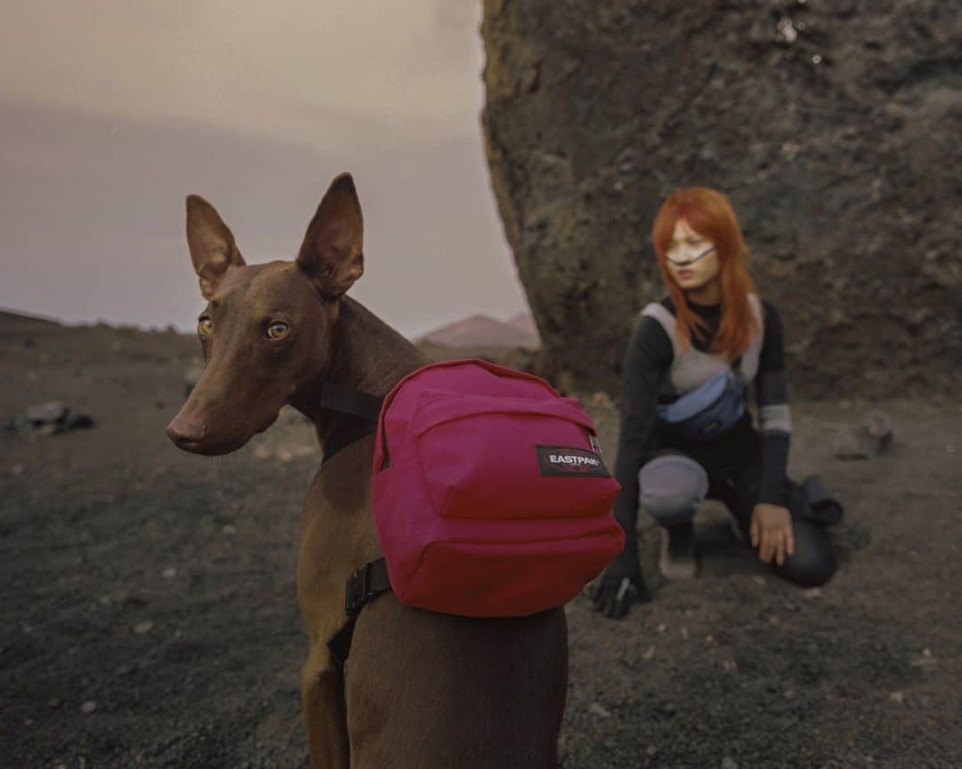 イーストパックのインスタグラム：「Built to Resist - Discover our new campaign Link in bio #builttoresist」