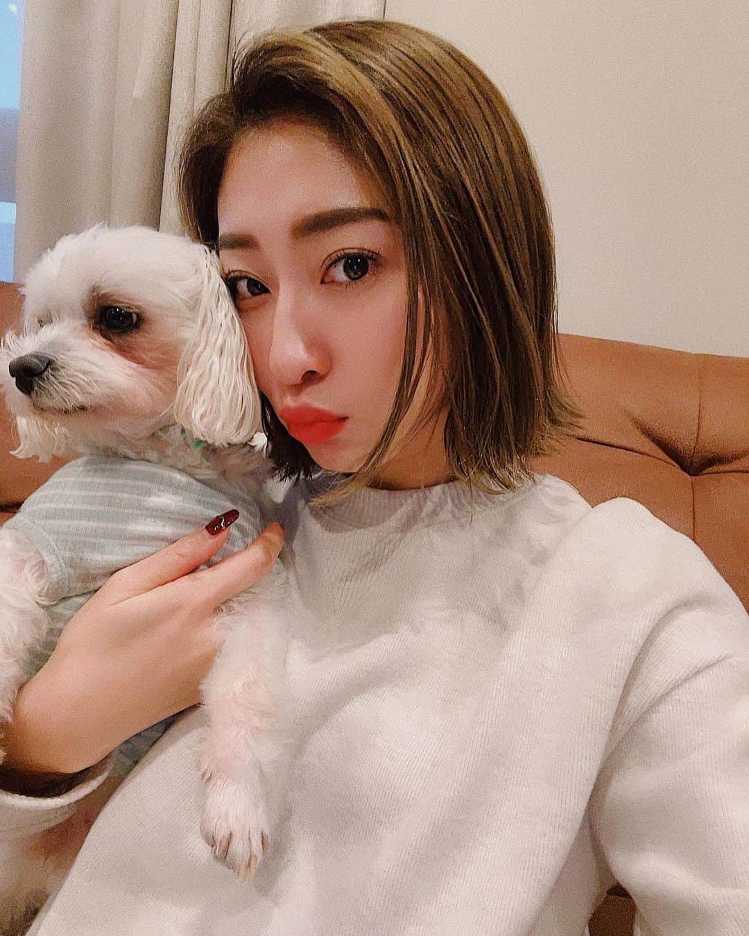 のインスタグラム：「髪切ってスッキリ〜✨ やっぱり伸ばすのは無理だった🥹  #hairstyle #bobhaircut #bobhairstyles #dogstagram #maltese #selfie #ボブヘア #ヘアスタイル #マルチーズ #いぬすたぐらむ #いぬがいる暮らし #女の子ママ #ママモデル #💗」