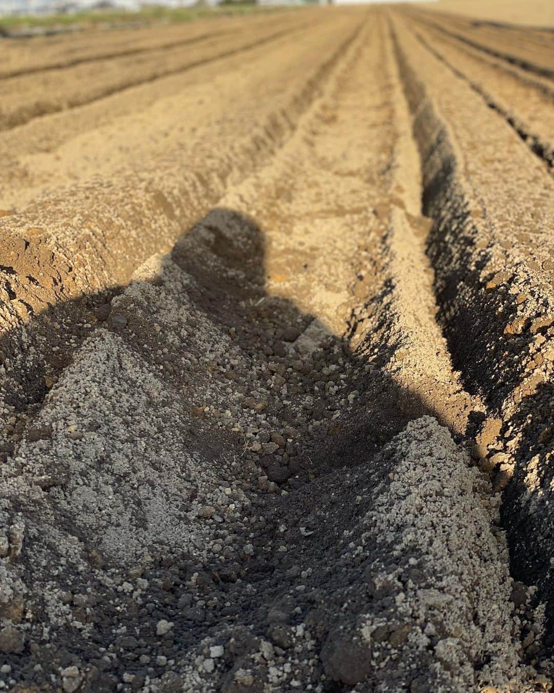 高崎寛之さんのインスタグラム写真 - (高崎寛之Instagram)「今年は長芋の規模拡大の為新しく畑を借りて下準備中。 日々勉強。日々成長。 乞うご期待！」3月16日 22時32分 - hiro0317