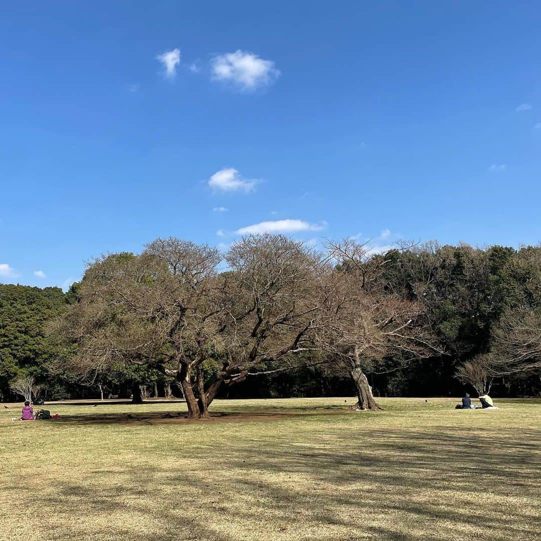 夏目花実さんのインスタグラム写真 - (夏目花実Instagram)「晴れるとピクニックによく出かける家族です。 そろそろお花見シーズンだし 本当嬉しいっす。。 あたたかいほうが確実に確実に全体的に好調。」3月16日 22時53分 - natsume_hanami