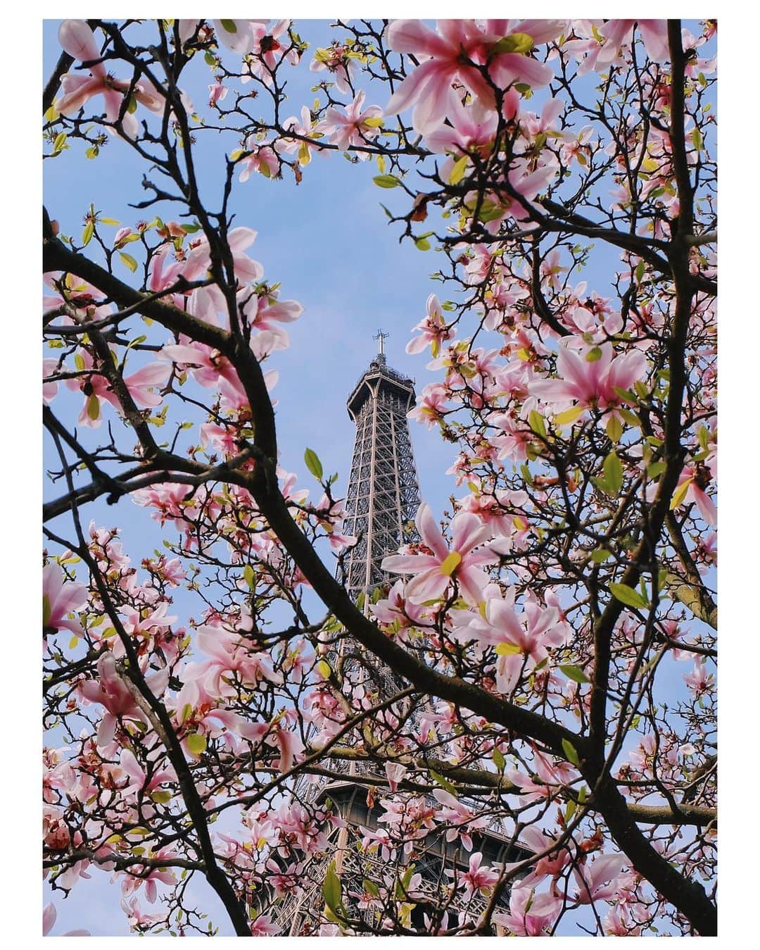 nathparisのインスタグラム：「SPRING IS COMING 🌸 . Bel après-midi 🌸」
