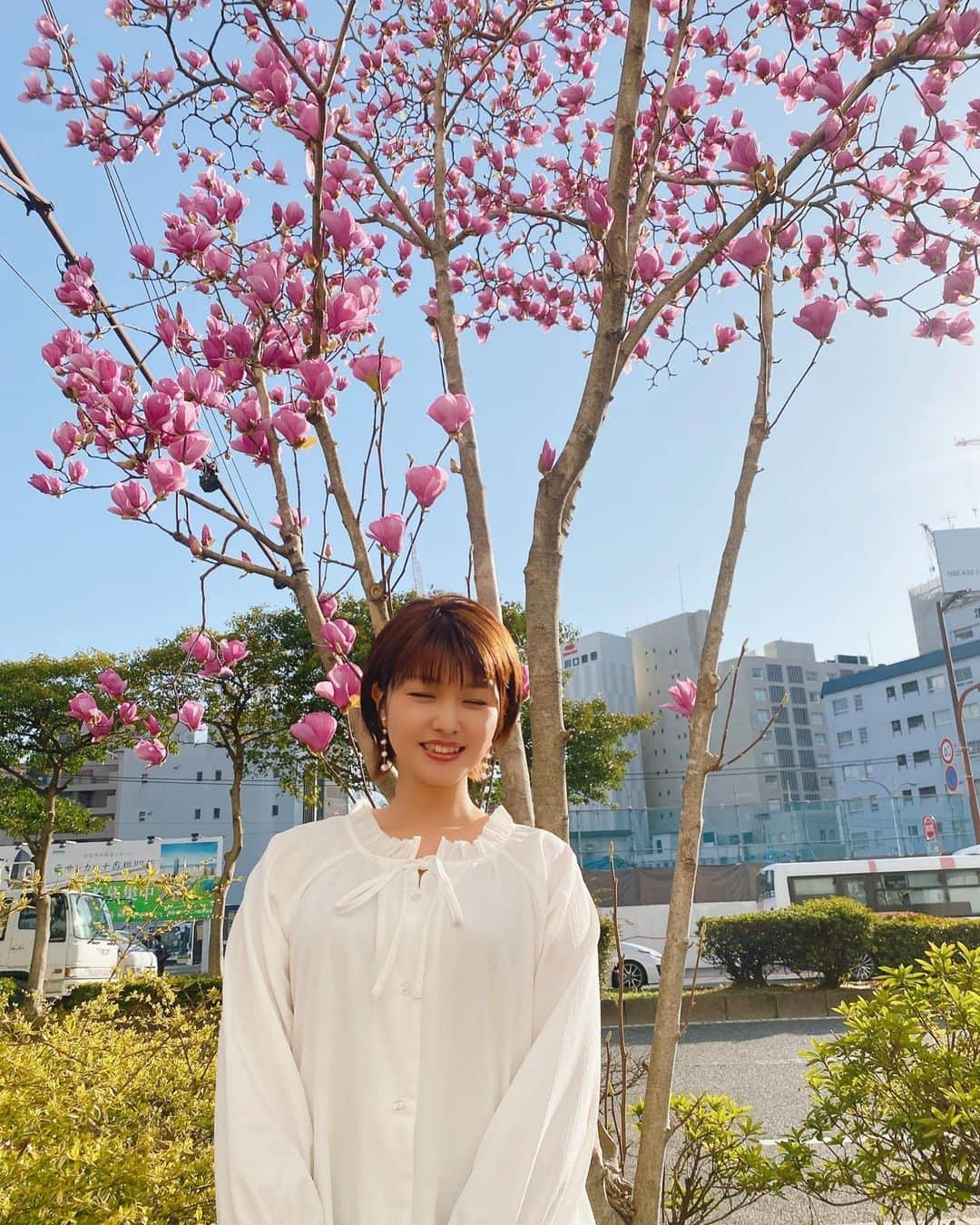 内村麻美さんのインスタグラム写真 - (内村麻美Instagram)「. KBCの近くにある 木蓮(モクレン)の花も、綺麗ですよ❤︎ . #寝ちゃったね #木蓮 #モクレン #木蓮の花 #木蘭の涙 #スターダストレビュー #めちゃくちゃ好きな曲 #来週ラジオで流そうかな」3月17日 11時44分 - asami___05