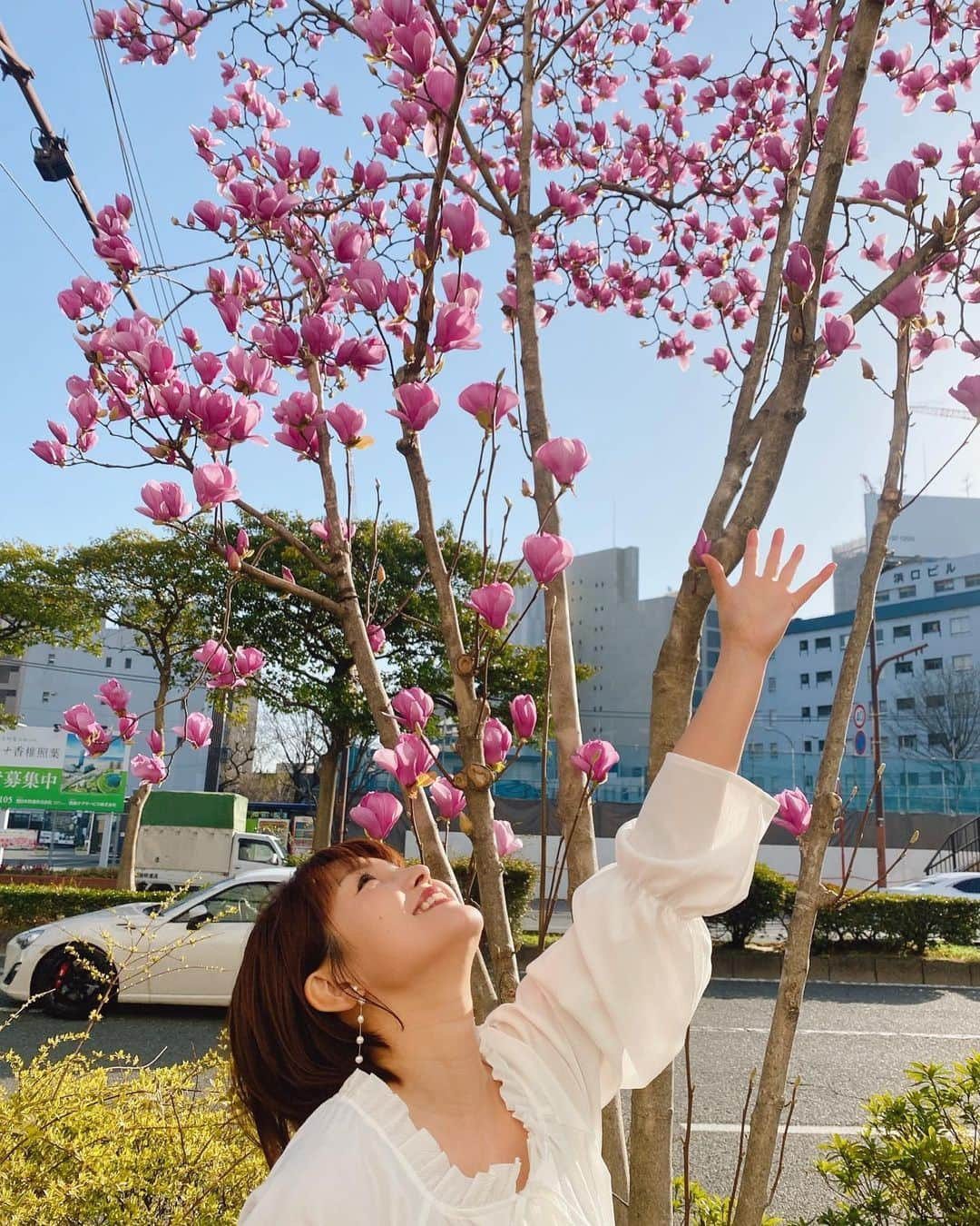 内村麻美さんのインスタグラム写真 - (内村麻美Instagram)「. KBCの近くにある 木蓮(モクレン)の花も、綺麗ですよ❤︎ . #寝ちゃったね #木蓮 #モクレン #木蓮の花 #木蘭の涙 #スターダストレビュー #めちゃくちゃ好きな曲 #来週ラジオで流そうかな」3月17日 11時44分 - asami___05