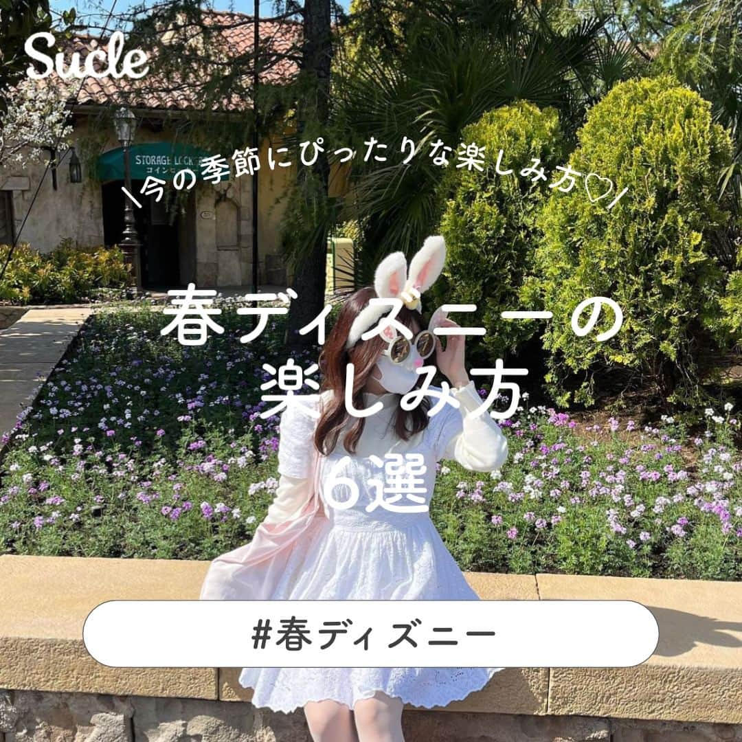 SUCLEのインスタグラム