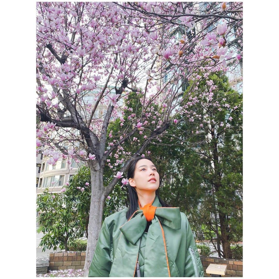 のん（能年玲奈）さんのインスタグラム写真 - (のん（能年玲奈）Instagram)「お堀の周りを散歩しました。 木蓮が咲き誇る公園があり、とても綺麗だった。 桜も見つけたよー。 🌸」3月17日 12時01分 - non_kamo_ne