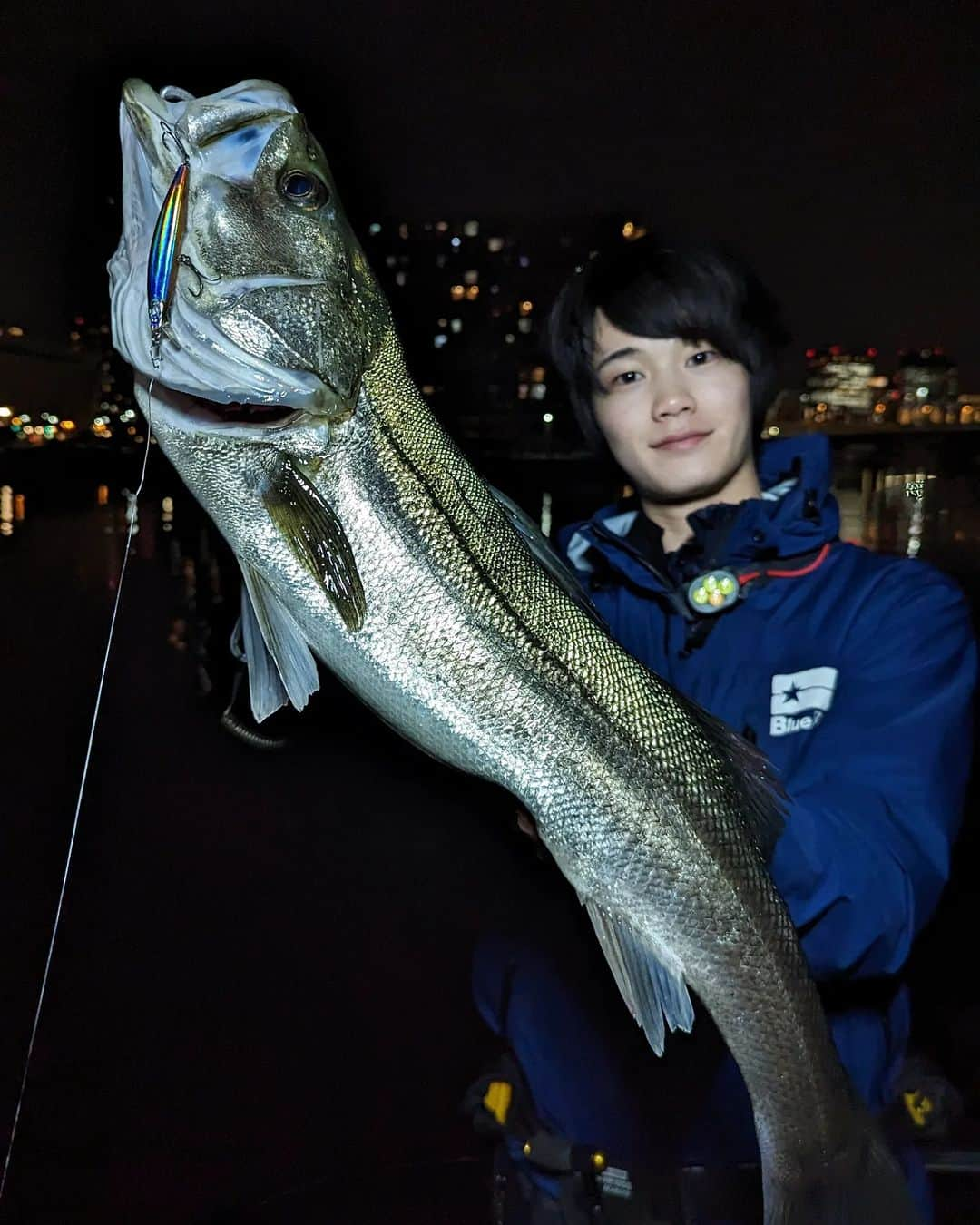 外山将平さんのインスタグラム写真 - (外山将平Instagram)「湾奥調査で　　　　　　　　　　　　　　　　　　　　　 トルクフルな70up!　　　　　　　　　　　　　 ヒットルアーはブローウィン80Sのミラージュピンク。　　　　　　　　　　　　　　　　　 　　　　　　　　　　　　　　　　　　　　　　　　　　 少し久しぶりのボートシーバス。　　　　　　　　　　　　 東京湾はすっかり春になって､湾奥河川､運河のベイトはアミ､ハク､イナッコ､ボラといった混合ベイトに🐟　　　　　 　　　　　　　　　　　　　　　　　　　　　　　　　　 これからが楽しみですね！　　　　　　　　　　　　　　　　 　　　　　　　　　　　　　　　　　　　　　　　　　　　 　　　　　　　　　　　　　　　　　　　　　 　　　　　　　　　　　　　　　　　　 #BlueBlue #アングラーズマイスター　　　　　　　　　　　　　　　　　　　　　　　　　　　　　　　 #TOKYO　　　　　　　　　　　　　　　　　　 #ブローウィン #Biteme　　　　　　　 　　　　　　　　　　　　　　　　　　　 　　　　　　　　　　　　　　　　　　　　　　　　　 　　　　　　　　　　　　　　　　　　　　　  ◆釣りにかかわらず､出たゴミは持ち帰りましょう！ 一人一人の意識で自然は守れます。 釣り場､自然を大切に🐟　　　　　　　　　　　　　　　　  ◆キャスト時は必ず後方確認をして ルアーや針が歩行者､同行者に当たらないようにしましょう。　　　　 　　　　　　　　　　　　　　　　　　　　　　　　　　　　　　 ◆釣り際はライフジャケット着用をお願い致します。　　　　　　　 命を守りましょう！　　　　　　　　　　　　 　　　　　　　　　　　　　　　　　　　　　 ◆YouTube⇩(始めました！チャンネル登録お願いします😊) https://youtube.com/channel/UC07x3DbJCNv_gAFvAjaWQMQ　　　　　　　 　　　　　　　　　　　　　　　　　　　　　  ◆アングラーズ↓🎣 将平(syohei) https://anglers.jp/users/530231 こちらもチェックお願い致します🐟　　　　　　　  ◆Twitter↓ https://mobile.twitter.com/syohei_1108 こちらもフォロー宜しくお願い致します！🙇‍♂　　　　　 　　　　　　　　　　　　　　　　　　　　　　　　　　　　　　　　　　　　　　　　　　　　　　　 　　　　　 　　　　　　　　　　　　　　　　　　　　 　　　　　　　　　　　　　　　　　　　　　　　　　　　　 #今日の外山 #俳優 #外山将平 #バチ抜け #釣り好きな人と繋がりたい #釣りスタグラム #シーバス #東京湾奥 #釣りの成長記録 #釣りで人生を豊かに  #fishing #lurefishing #lure #bass #catchandrelease #fish #fishinglife #bigfish #lunker #angling #instafish #saltlife #bassfishing #seabass」3月17日 3時51分 - syohei_toyama