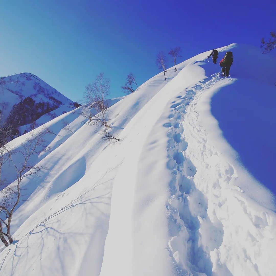 のインスタグラム：「春の山＠富山県  お天気に恵まれて登頂日和 良いシーズンですが春特有のリスクもありますので気をつけて山に行きたいですね ウエットルースアバランチ メルトフリーズやレインクラストによる転滑落 踏み抜き 日焼け 脱水 など  #石井スポーツ登山学校 #石井スポーツアドベンチャーズ #石井スポーツ #国際山岳ガイド天野和明 #amano.kazu #国立登山研修所 #鍬崎山」