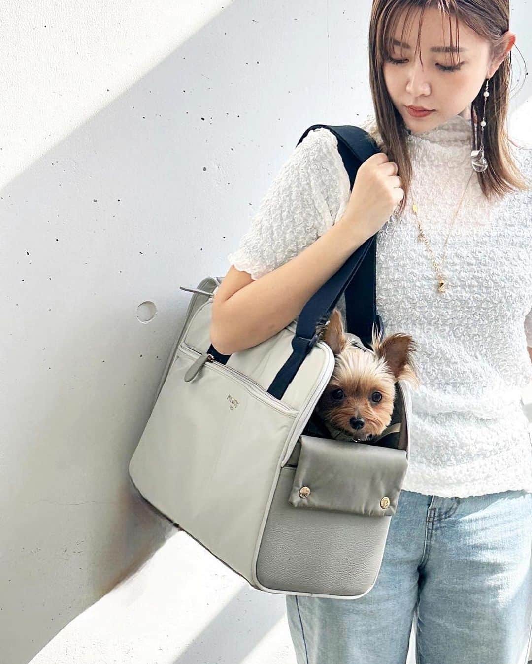 のインスタグラム：「🤍  👜 @milliong_japan  🏷#ワンマイルバッグ  ぴのさんの新しいキャリーバッグ✨  欲しい機能性がぜーんぶ入ってるし 軽いのに形崩れしない✨  @pino.0810 に詳しく載せてます🥹🫶🏻  #ペット用キャリー#キャリーバッグ #犬用キャリーバッグ　#ペット用バッグ」