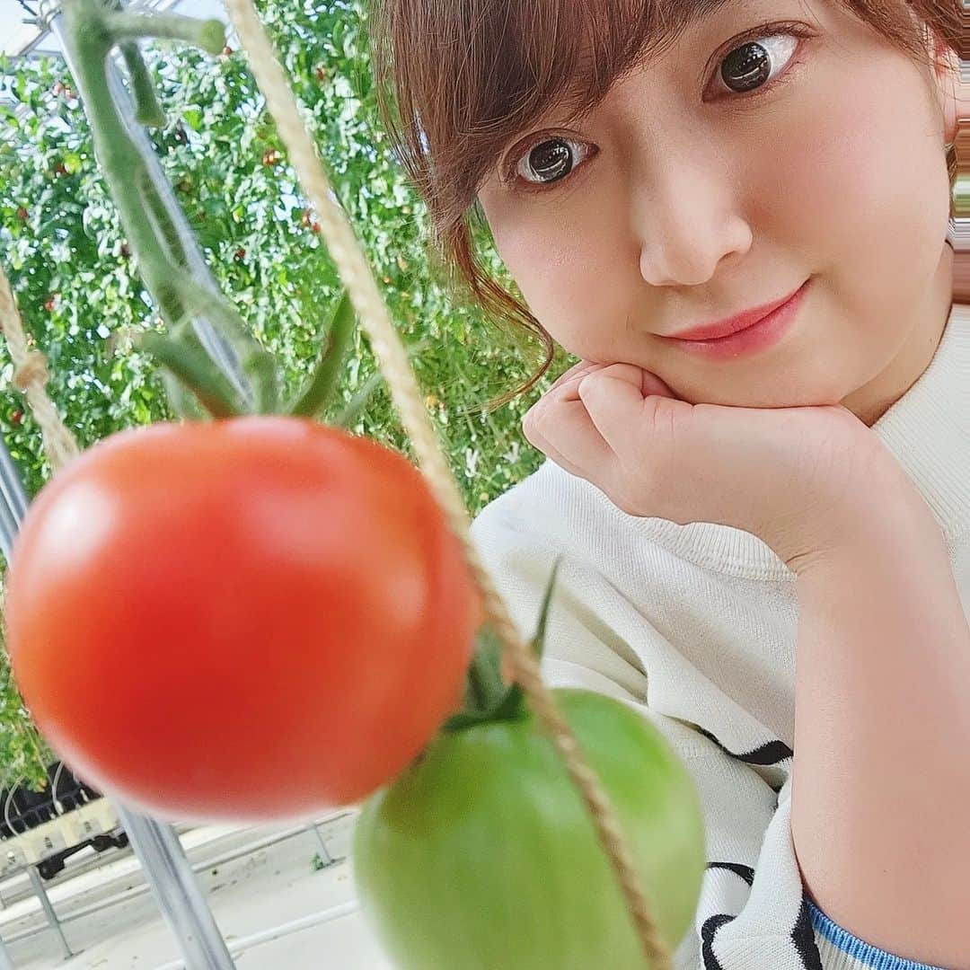 矢田優季のインスタグラム：「. ロケ記録φ(．．)❤️  野菜はトマトが一番好きー🍅✨  東京のお店って他の地域から仕入れているイメージ強いかも知れませんが、東京だって地産地消にこだわってる所があるんです💕  石神井公園駅から徒歩5分くらいのフィリッポさん(@pizzeriagtaliadafilippo )  近所にあって欲しいって思ったくらい美味しかった (,,> <,,)♡  #女子アナ #アナウンサー #ナレーター #フリーランス #東京グルメ #イタリアン　 #地産地消」