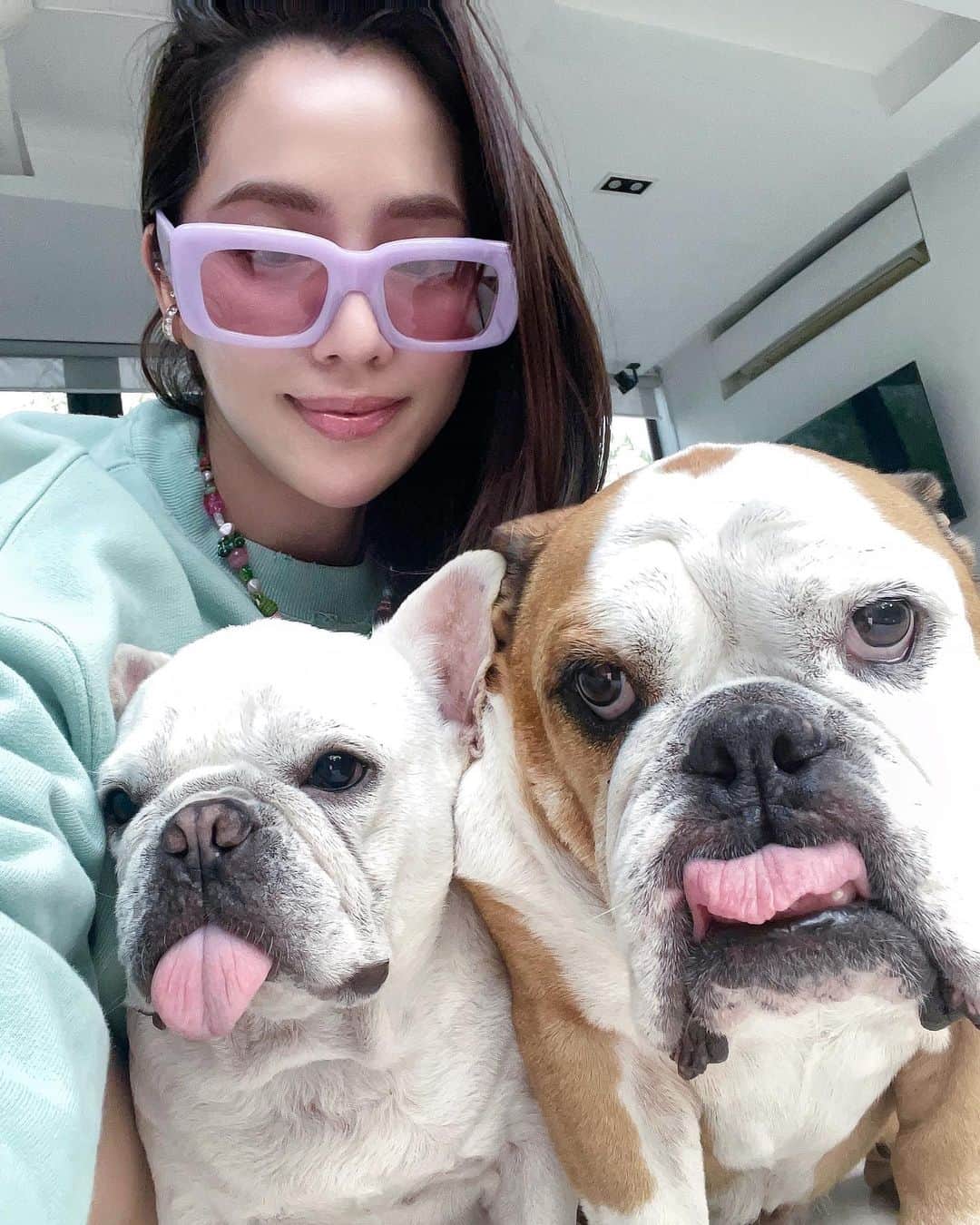 アリッサのインスタグラム：「missin’ one rascal who’s prob busy in the kitchen scavenging for food… #awissadogz x」