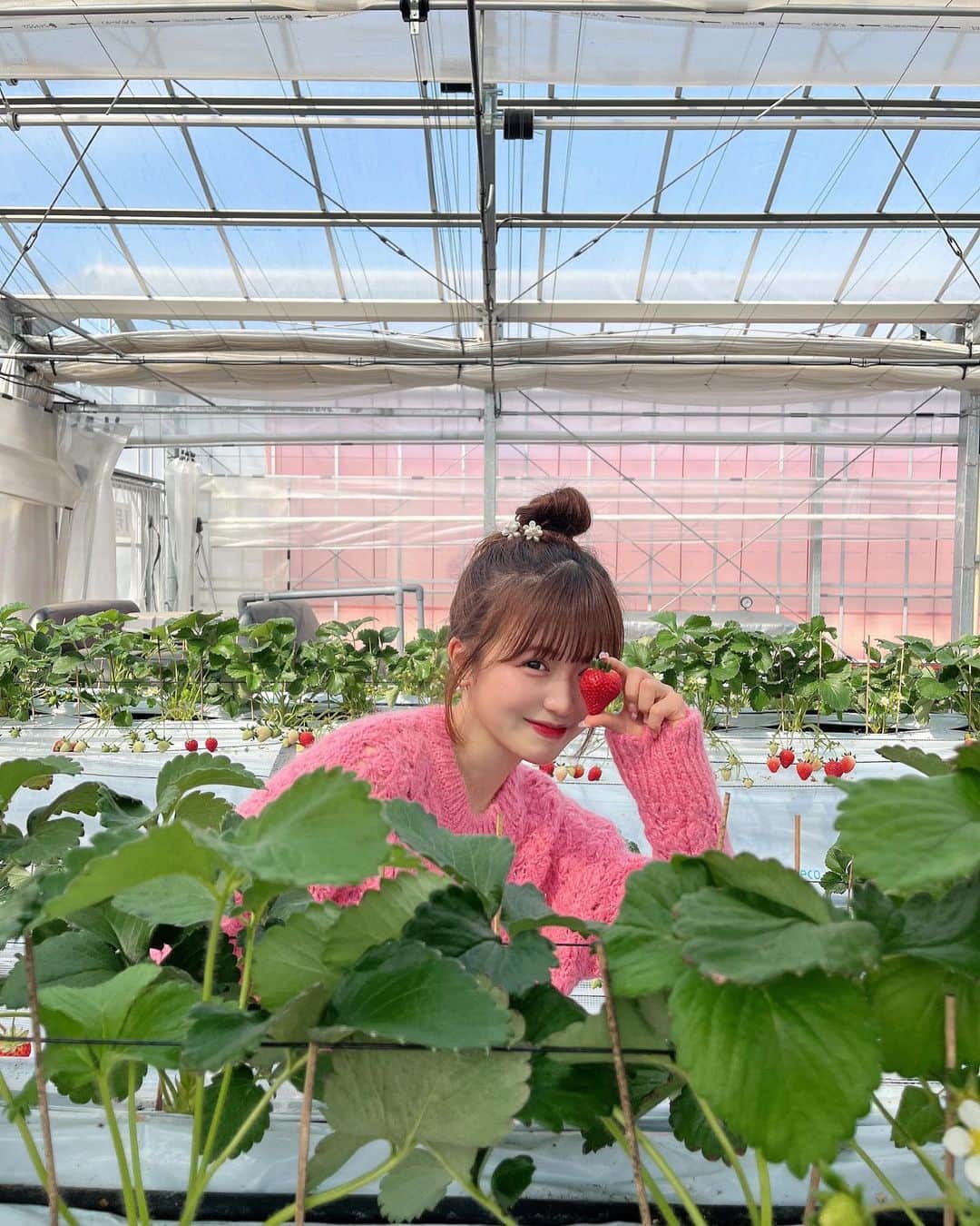 Kirariのインスタグラム：「何個食べたでしょうか🍓」