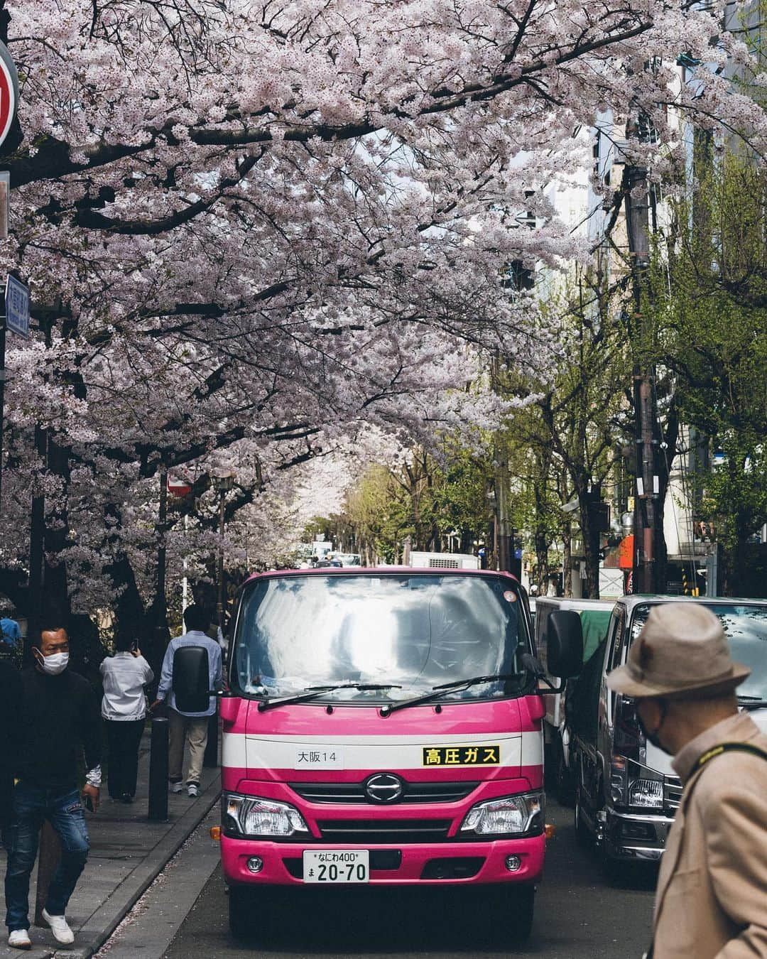 Yuma Yamashitaさんのインスタグラム写真 - (Yuma YamashitaInstagram)「We admire their ephemeral beauty. #cherryblossom  #桜」3月17日 20時34分 - yuma1983