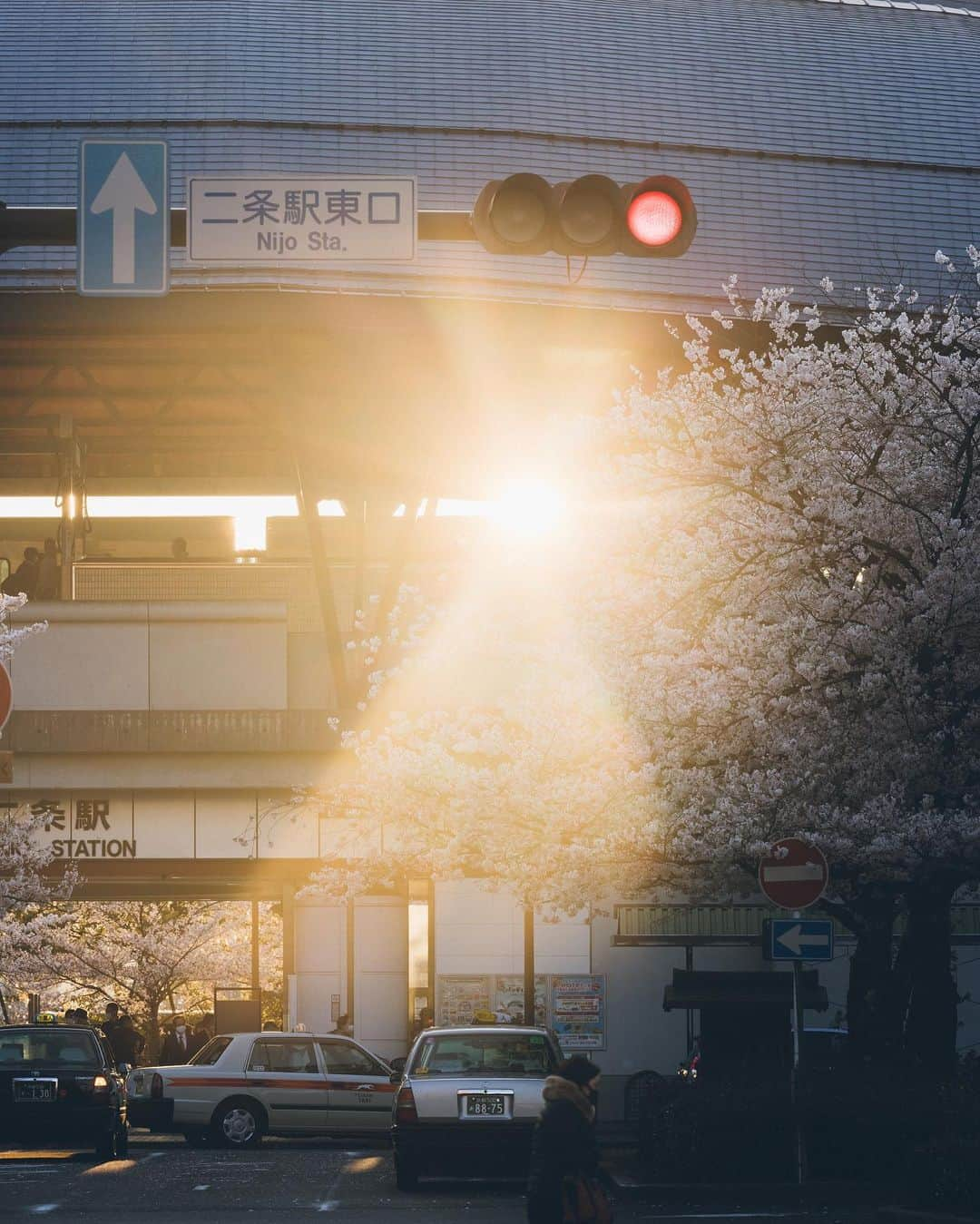 Yuma Yamashitaさんのインスタグラム写真 - (Yuma YamashitaInstagram)「We admire their ephemeral beauty. #cherryblossom  #桜」3月17日 20時34分 - yuma1983