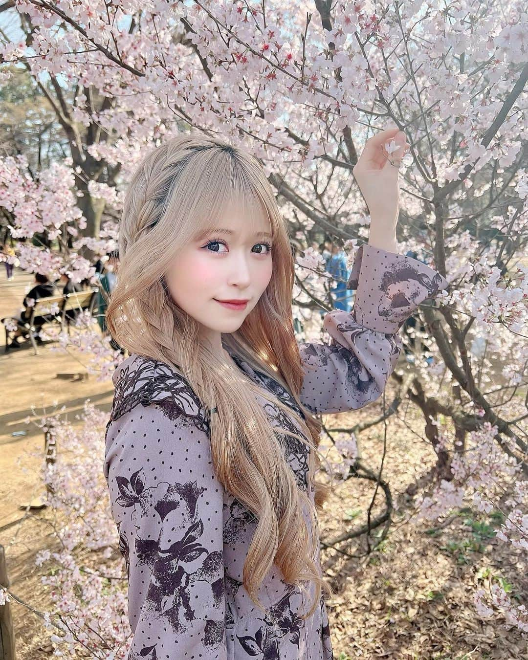 冨吉明日香のインスタグラム：「すでに春気分〜〜 また満開な頃いきたい🌸  こっちは親知らず抜いた5分後です😂 #代々木公園 #桜 #sakura #さくら #お花見 #お花見コーデ #親知らず抜歯 #抜歯お花見」