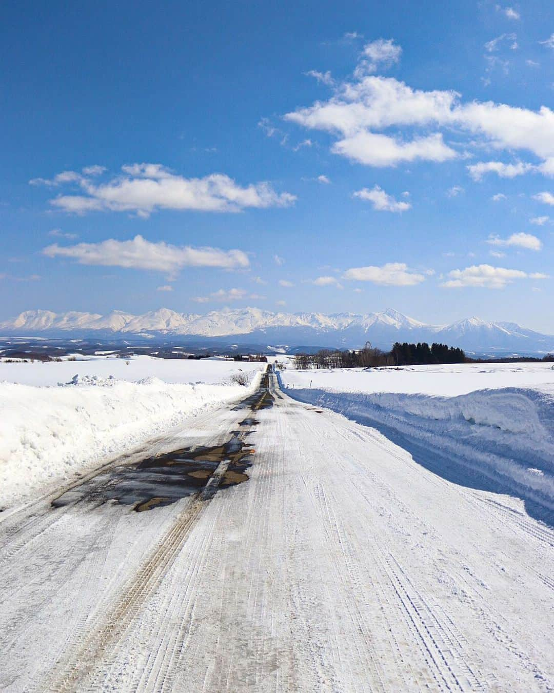 sayoko_betseyのインスタグラム：「First Love⛄️ ⁡ 初めて北海道に恋したのは、富良野を訪れた時でした... ⁡ ⁡ 今年は冬が早めに終わりそう ⁡ 富良野にて今期最後の冬景色かなぁと思い、車から降りてパシャリ🚙📷 しばらく見惚れるくらい綺麗でした❄️ ⁡ ⁡ 最近無事に初めての免許更新を終えて、誕生日にはカメラを買い替えた 運転も写真を撮る事も、より身近になって楽しいです❤︎︎ ⁡ ⁡ あと、Netflixの「初恋」観終わったよ🎬 物語もキュンとして、純粋な愛のストーリーに北海道の景色がマッチしてて良かった✨ 初恋をオススメしてくれた皆様とロケ地遊びに行きたい🚙🍴 ⁡ ⁡ #firstlove #furano #hokkaido  #初恋 #北海道 #富良野 #ジェットコースターの路 から見える景色  #canon派 #北海道に恋してる」