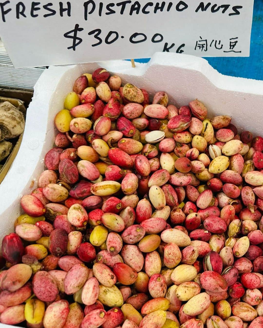 トム・リントンさんのインスタグラム写真 - (トム・リントンInstagram)「We had a great time walking the Queen Victoria market today. I wish I could have brought it all back with me.」3月17日 12時59分 - tomdlinton