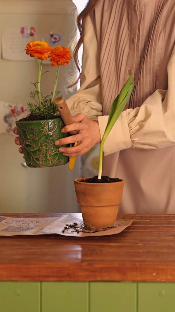 Chokiのインスタグラム：「今夜☘️」
