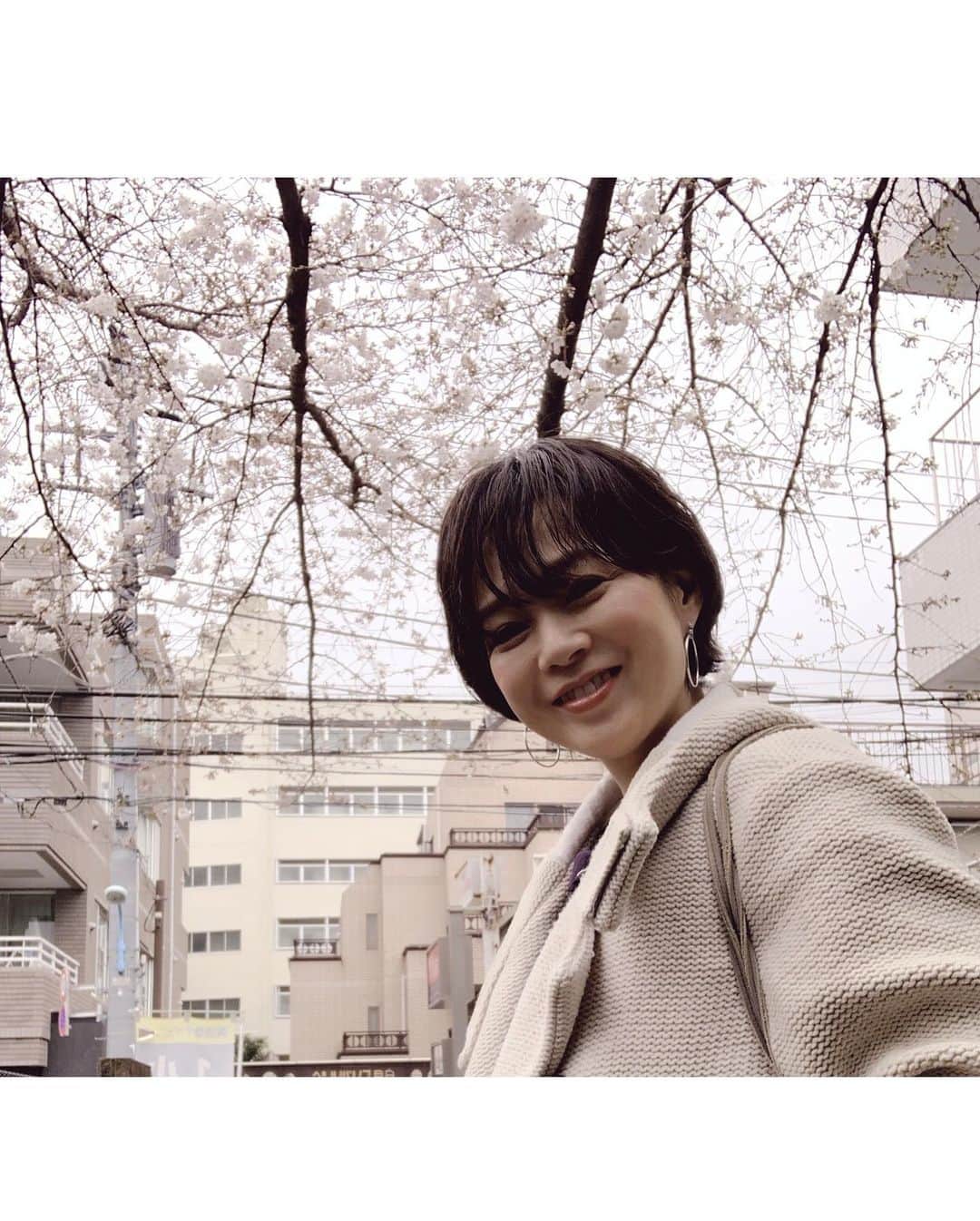 いかりさとみさんのインスタグラム写真 - (いかりさとみInstagram)「今日のスタジオの入口にあった立派な一本桜〜、3分咲きくらい♪」3月17日 15時31分 - satomi_ikari