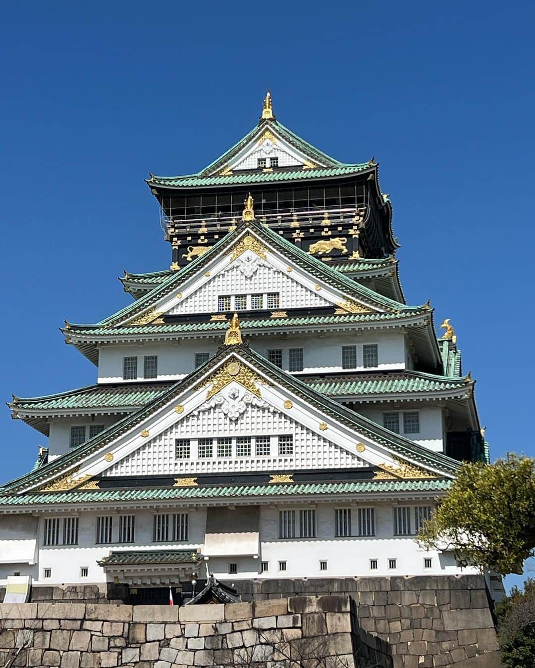 和央ようかさんのインスタグラム写真 - (和央ようかInstagram)「Osaka Castle 🏯😊  久しぶりに、大阪城に行く…🏯❤️ 映画”茶々”のプレミアムイベント以来かも🙄😝 お城🏯は大好きだけど、大阪出身のうえに 映画”茶々”で淀殿をさせて頂いているから、大阪城への、想いは格別❤️フランクにも My castle 🤣🤣🤣といいながらの説明🤣🤣🤣 天候にも恵まれ、観光😊🏯 楽しすぎ…  #takakoworldstylin🌎 #takakoosakastylin🇯🇵 #yokawao #和央ようか #大阪城 #osakacastle #観光」3月17日 15時52分 - yokawao0215