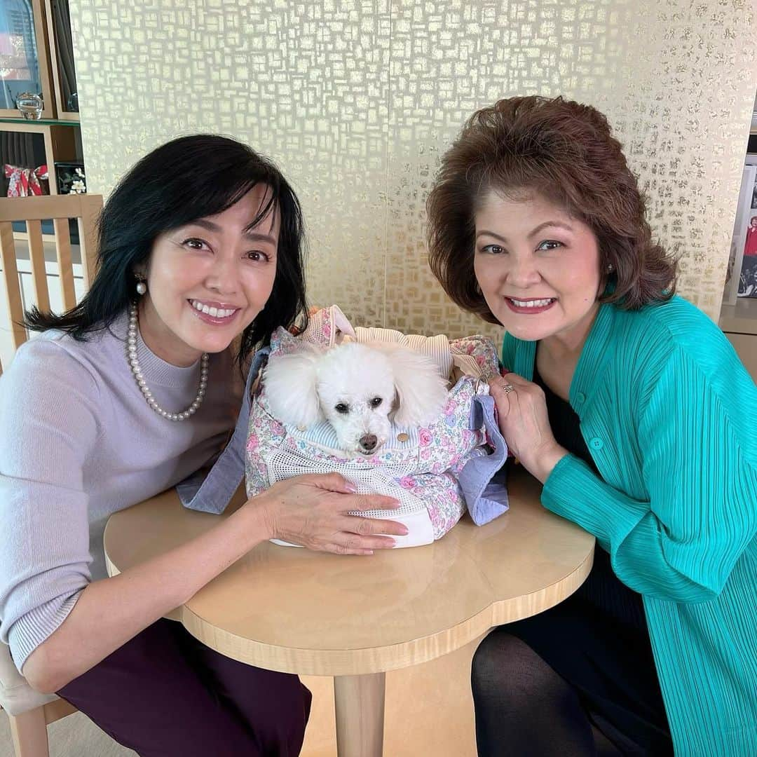 早見優さんのインスタグラム写真 - (早見優Instagram)「Check out my new episode of What’s in your bag?  With my friend, Jane and Snowy! @yu_hayami #youtube   #youtube #yuhayamichannel #早見優チャンネル  #doglover」3月17日 16時13分 - yuyuhayami