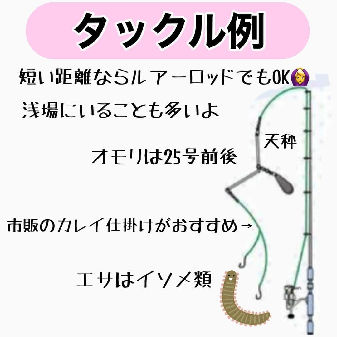 ペルビー貴子さんのインスタグラム写真 - (ペルビー貴子Instagram)「@fishing__info  他の釣り情報もチェック👆  梅の花が綺麗に咲いてますねー❣️ その後は桜！🌸🌸🌸 この時期に釣れるカレイはたくさん栄養蓄えて身も美味しくなりますよ🐟  花見しながらのんびり釣りできるとこどこかにないかなー？笑  ---------------------------------------- 釣り情報配信　@fishing__info  釣り、アウトドア、魚料理に関する豆知識、お得情報、便利な釣具を中心に投稿しています🎣 ----------------------------------------  #釣り #フィッシング　#fishing　#釣り好きな人と繋がりたい  #釣り好き　#釣り人 #アングラー #魚釣り　#豆知識　#投げ釣り #花見カレイ　#カレイ　#春の釣り #ペルビー釣り情報配信 #ペルビー #釣り初心者 #桜 #お花見シーズン」3月17日 19時30分 - fishing__info