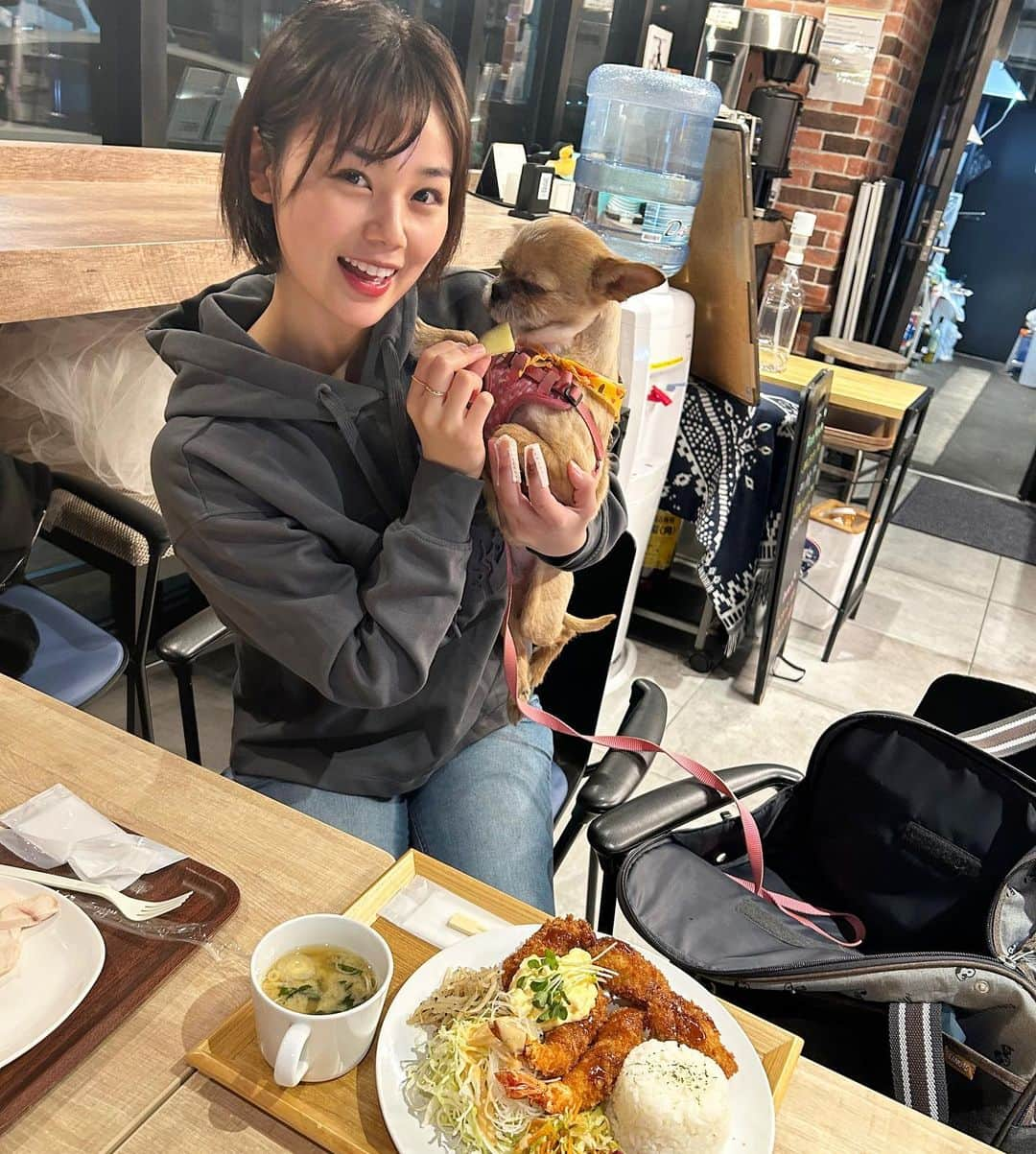 長野じゅりあさんのインスタグラム写真 - (長野じゅりあInstagram)「・ ・ ピグたんとお出かけ🧡 カフェ苦手らしくしがみついてきたw でもササミにはめっちゃ食いついてた！ ・ ぴぐもと旅行いきたいなぁ🧡 ・ ・ #愛犬　#ぴぐも　#チワズー　#ドックカフェ　#カフェ」3月17日 17時15分 - juria_210