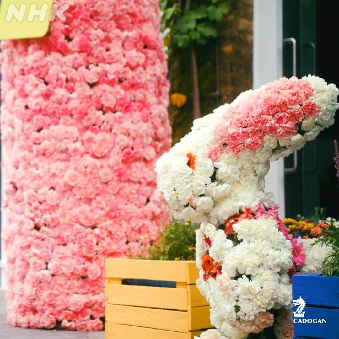 NHK「世界はほしいモノにあふれてる」さんのインスタグラム写真 - (NHK「世界はほしいモノにあふれてる」Instagram)「英国は断然●月がオススメ🇬🇧  みなさんの好きなお花聞けて、　 スタッフ🐶も嬉しかったです。 MCが好きなお花も近日中にご紹介！  さて、イギリス行くなら… オススメは５月🍀  雨が多く、暗く寒い長ーい冬を抜けた先にある春、 特に花が咲き乱れる5月が、イギリス人は大好き！  そして、5月は、 「チェルシーインブルーム」 というインスタレーションの祭典が行われて、 街中のさまざまなブティックも花で彩られます！ アリスに出てくるウサギちゃんも！  ちなみに、イギリスでは、   "April showers bring May flowers"  　　4月の雨は5月の花を咲かせる  という言葉があり、 悪いことの後にはいいことが来るよと いう意味だそうです。  17世紀アメリカへ移民を運んだ船も メイフラワー号も 5月に咲く花という意味のMayflower から 来てるんだとか。  さぁ、みなさん、 イギリス行くなら5月！ 断然、花があふれる、5月ですよ〜🐶！   -------------- What is the best season to visit the UK🤔?  Obvious.  "April showers bring May flowers….💐" The whole county will be filled with flowers everywhere in May, gardens, parks and shop fronts!  Another reason to stop by London in May would be CHELSEA IN BLOOM 🌺. It is a never seen anything like that kind of festival of flowers.  Streets in Chelsea area will be adorned with installations AND it is free for all to see - what a lovely community! 💝  It's got to be May...  #イギリス　#ロンドン #花のある暮らし  #フラワーアレンジメント  #フラワーディスプレイ #londoninbloom #せかほし」3月17日 17時44分 - nhk_sekahoshi