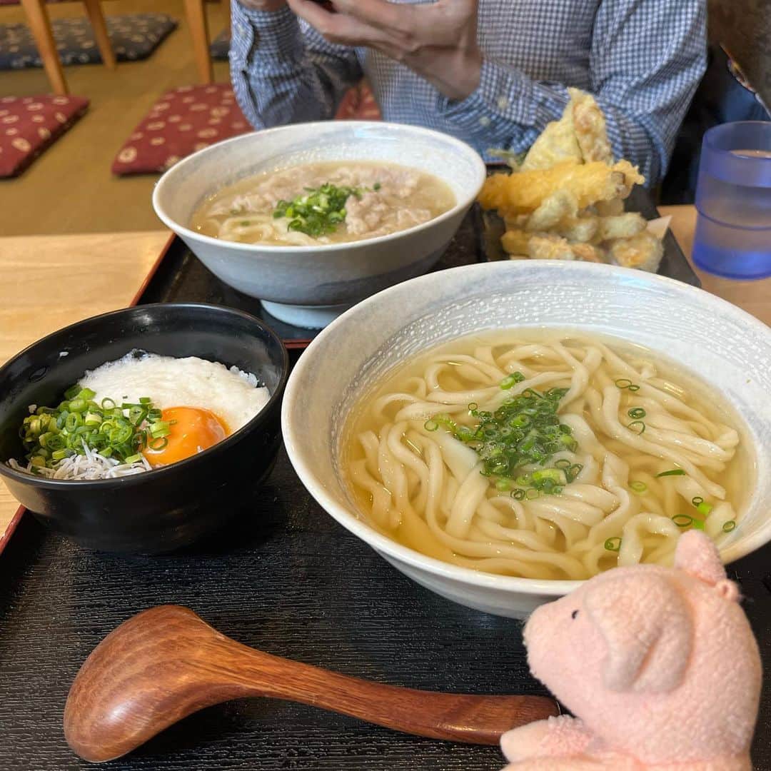 のインスタグラム：「うどん！ しらすとろろ丼も天盛りもおいしかった！ #ぶたぶた #山崎ぶたぶた #矢崎存美 #うどん」