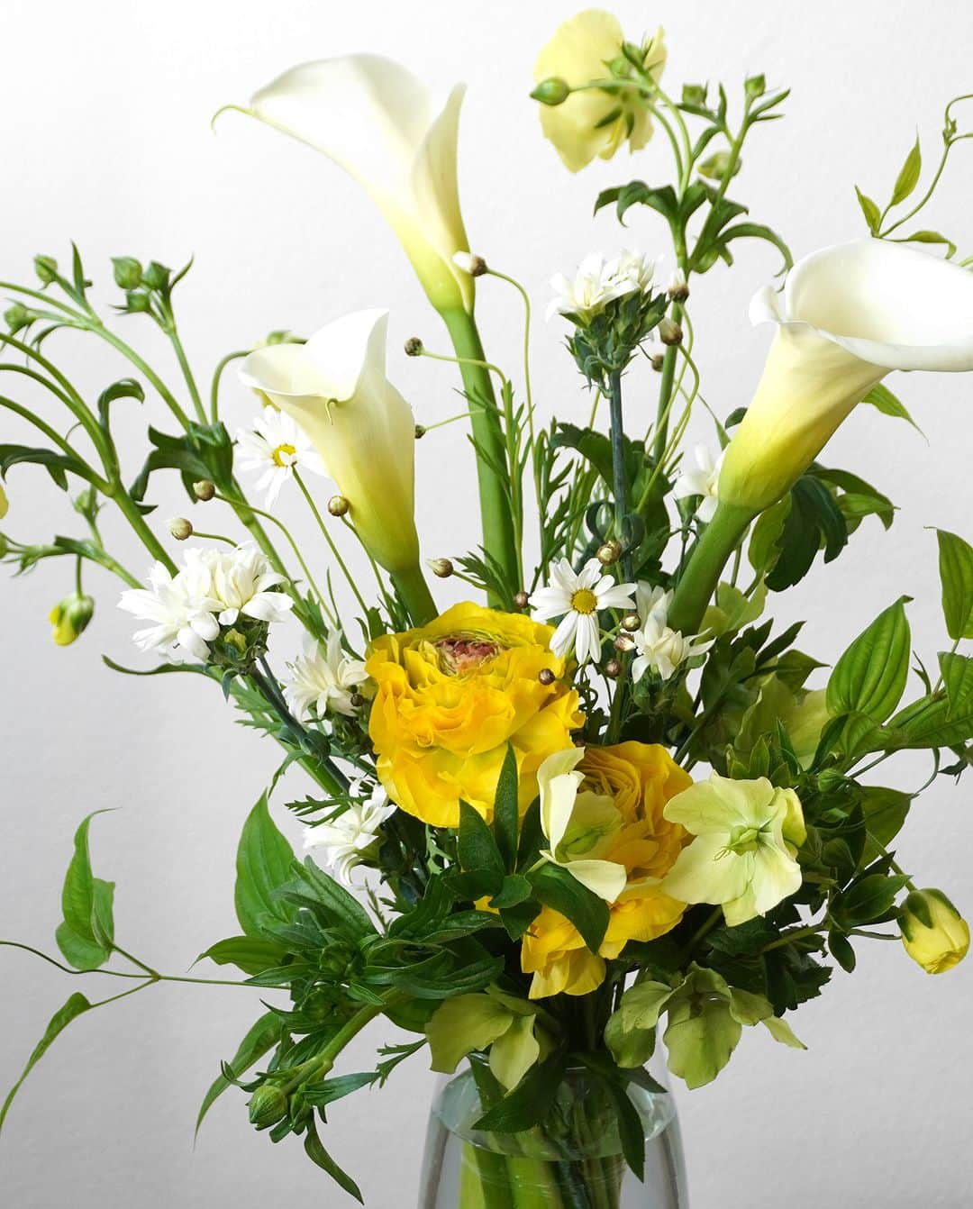 AOYAMA_HANAMOさんのインスタグラム写真 - (AOYAMA_HANAMOInstagram)「白とビタミンカラーの花々を爽やかに束ねて。 ・ 白いカラーに、オレンジの大輪ラナンキュラスと黄色いラナンキュラスラックス。マーガレット、スプレーカーネーションなどの白い小花に、淡いグリーンのクリスマスローズを添え、ナチュラルな印象に仕上げています。花々のステム（茎）を活かした、高さのある花瓶活けです。 ・ 英国ではクリスマス前後に咲くことから、その名がついたと言われているクリスマスローズ。うつむくような花姿が可愛らしく、ロマンティックな名前も魅力ですね。 品種の多様さや育てやすさから、特に園芸を楽しむ方にファンが多いですが、切り花としても春先に出回り、花束に趣きを加えるワンポイントの役割で重宝しています。 ・ 青山花茂の「#季節の花の定期便」は、その時期に最適な花を使ってフラワーデザイナーがひとつひとつ丁寧にお作りしています。 春の花々もそろそろ終盤の時期に入ってきました。可愛らしい春の花を、時期を逃さずお楽しみいただけたらと思います。 - - - #aoyamahanamo #青山花茂 #お花のある生活 #花が好きな人と繋がりたい #花を飾ろう #花のある暮らし #花のあるくらし #花のある日常 #癒しの花 #季節の花 #旬の花 #花のサブスク #フラワーサブスクリプション #お花の定期便 #季節の花の定期便 #季節の花の定期便プレミアムプラン #ラナンキュラス #カラー #ラナンキュラスラックス #マーガレット #クリスマスローズ #スプレーカーネーション #花瓶活け #花束 #ブーケ #ナチュラルブーケ #春の花」3月17日 18時00分 - aoyama_hanamo
