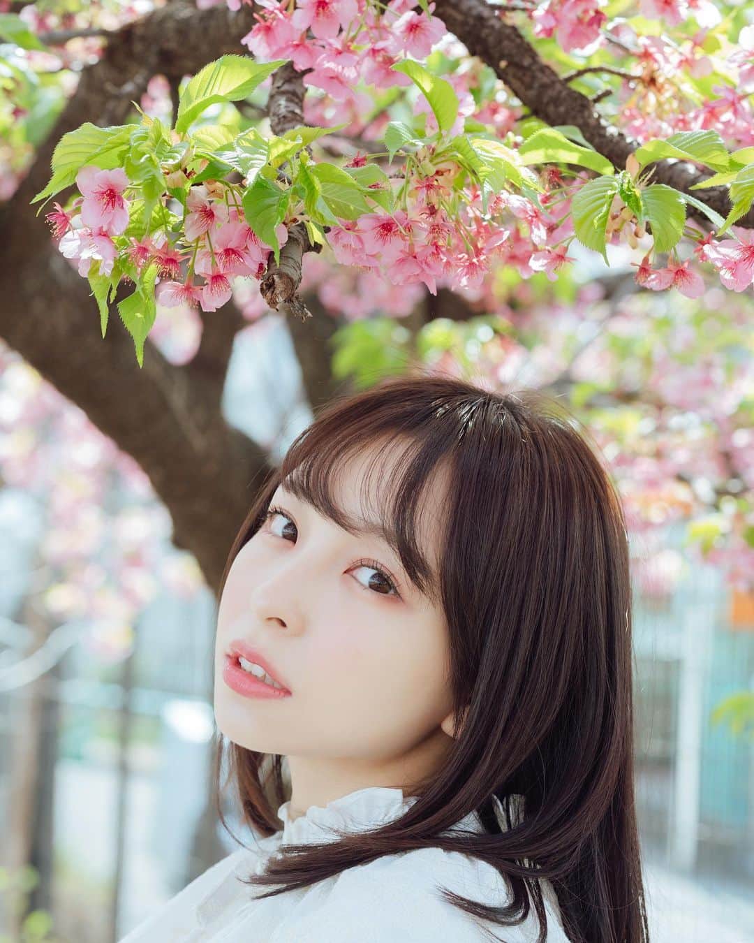 一ノ瀬みかのインスタグラム：「春だよ Photo: @nessie44_p  Costume: @_muse_closet_   #桜 #japaneseculture  #sakura」
