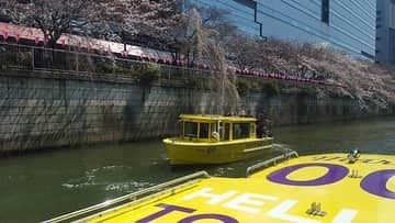 Warehouse TERRADA 寺田倉庫さんのインスタグラム写真 - (Warehouse TERRADA 寺田倉庫Instagram)「桜🌸クルーズ  Stay at the floating hotel and cruise to see cherry blossoms by water taxi (for a limited time and number of the guests only )  東京・天王洲のPETALS TOKYOは、1日4組限定の水上ホテルです。 ご宿泊客のみなさまには、運河に浮かぶ客室ならではの浮遊感や開放感を体験していただいています。  さらに現在、水辺と桜も楽しめる宿泊プランを期間限定で提供中です。 貸切の水上タクシーで目黒川をクルーズしながら桜を鑑賞していただける「桜クルーズプラン」です。 水上タクシーは、PETALS TOKYOの傍も通るので、泊まっているお部屋が浮かんでいる様子も間近にご覧いただけます。  詳しくはこちらから→ @petalstokyo   #寺田倉庫 #warehouseterrada #PETALSTOKYO #tennoz #天王洲 #artcity #アートシティ #luxury #luxurioushotel #hotel #飯店 #酒店 #โรงแรม #tokyo #โตเกียว #小舟 #boat #船 #เรือ #cruise #東京ウォータータクシー #水上タクシー  @tokyowatertaxi」3月17日 18時34分 - warehouse_terrada