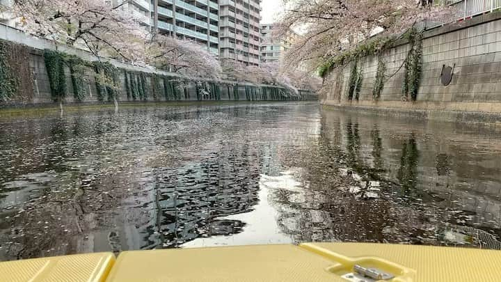 Warehouse TERRADA 寺田倉庫のインスタグラム：「桜🌸クルーズ  Stay at the floating hotel and cruise to see cherry blossoms by water taxi (for a limited time and number of the guests only )  東京・天王洲のPETALS TOKYOは、1日4組限定の水上ホテルです。 ご宿泊客のみなさまには、運河に浮かぶ客室ならではの浮遊感や開放感を体験していただいています。  さらに現在、水辺と桜も楽しめる宿泊プランを期間限定で提供中です。 貸切の水上タクシーで目黒川をクルーズしながら桜を鑑賞していただける「桜クルーズプラン」です。 水上タクシーは、PETALS TOKYOの傍も通るので、泊まっているお部屋が浮かんでいる様子も間近にご覧いただけます。  詳しくはこちらから→ @petalstokyo   #寺田倉庫 #warehouseterrada #PETALSTOKYO #tennoz #天王洲 #artcity #アートシティ #luxury #luxurioushotel #hotel #飯店 #酒店 #โรงแรม #tokyo #โตเกียว #小舟 #boat #船 #เรือ #cruise #東京ウォータータクシー #水上タクシー  @tokyowatertaxi」