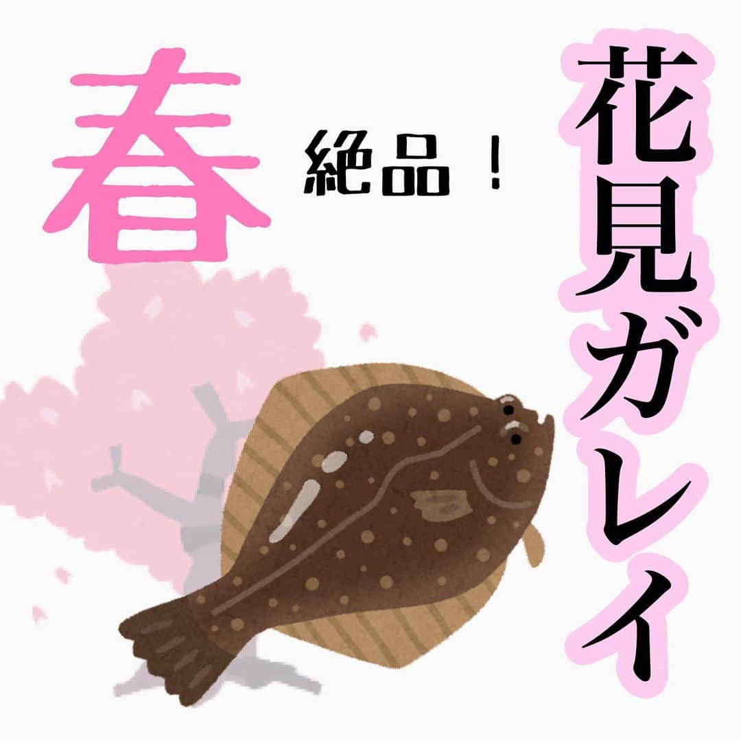 ペルビー貴子のインスタグラム：「@fishing__info  他の釣り情報もチェック👆  梅の花が綺麗に咲いてますねー❣️ その後は桜！🌸🌸🌸 この時期に釣れるカレイはたくさん栄養蓄えて身も美味しくなりますよ🐟  花見しながらのんびり釣りできるとこどこかにないかなー？笑  ---------------------------------------- 釣り情報配信　@fishing__info  釣り、アウトドア、魚料理に関する豆知識、お得情報、便利な釣具を中心に投稿しています🎣 ----------------------------------------  #釣り #フィッシング　#fishing　#釣り好きな人と繋がりたい  #釣り好き　#釣り人 #アングラー #魚釣り　#豆知識　#投げ釣り #花見カレイ　#カレイ　#春の釣り #ペルビー釣り情報配信 #ペルビー #釣り初心者 #桜 #お花見シーズン」