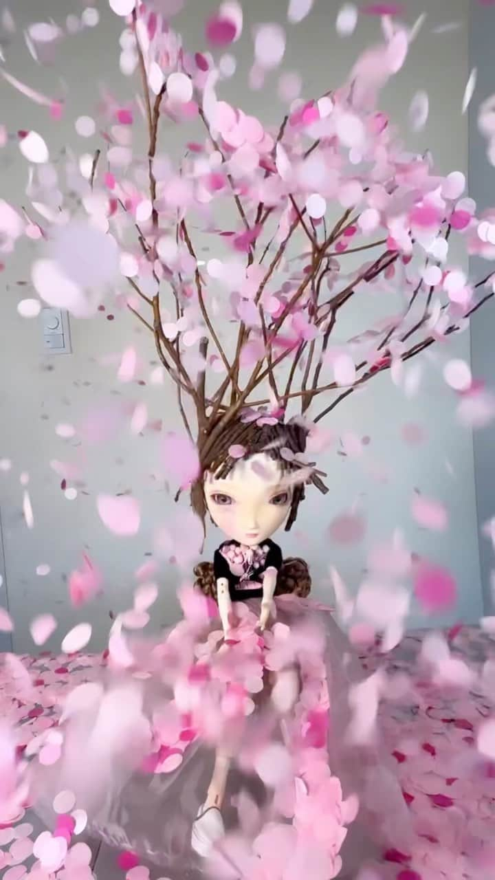 今泉亮爾のインスタグラム：「Working with my #spritdoll #dikadoll #rosenlied  early #flowering #spring #cherryblossom 🌸🌸🌸🌸🌸🌸🌸🌸」