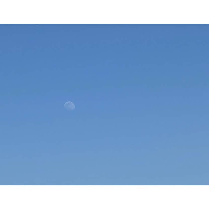 園田あいかさんのインスタグラム写真 - (園田あいかInstagram)「white moon .」3月17日 21時51分 - for__offwhitey_9