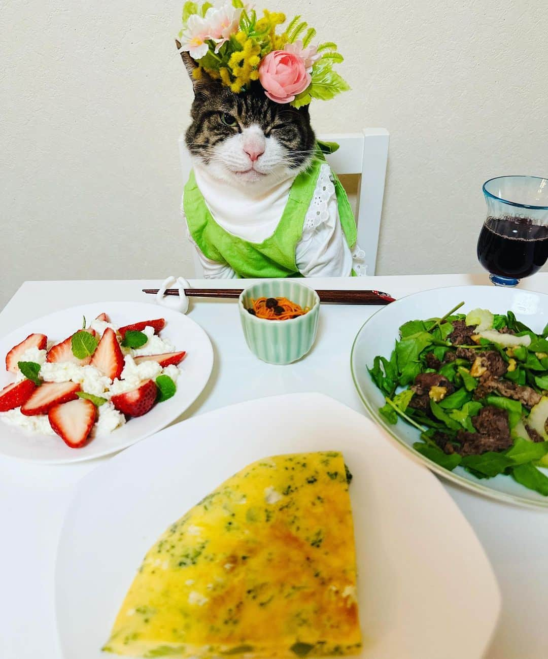 マロのインスタグラム：「🍷Today's menu🍷　SWIPE▶️ ✴︎ ・牛肉とクレソンのくるみサラダ (Beef and watercress walnut salad) ・いちごのカプレーゼ🍓 (strawberry caprese) ・ブロッコリーのフリッタータ (Broccoli frittata) ・キャロットラペ (carrot lape) ✴︎ いつもコメントありがとうございます😸🙏💞 全て拝見しています🐾 ✴︎ Thank you for your kind comments😸🙏💞 ✴︎ #cat#cats#catsofinstagram#food #wine#ねこ#ねこすたぐらむ#ねこ部 #猫#料理#ワイン#ミモザ#保護猫 #猫のいる生活#猫のいる暮らし」