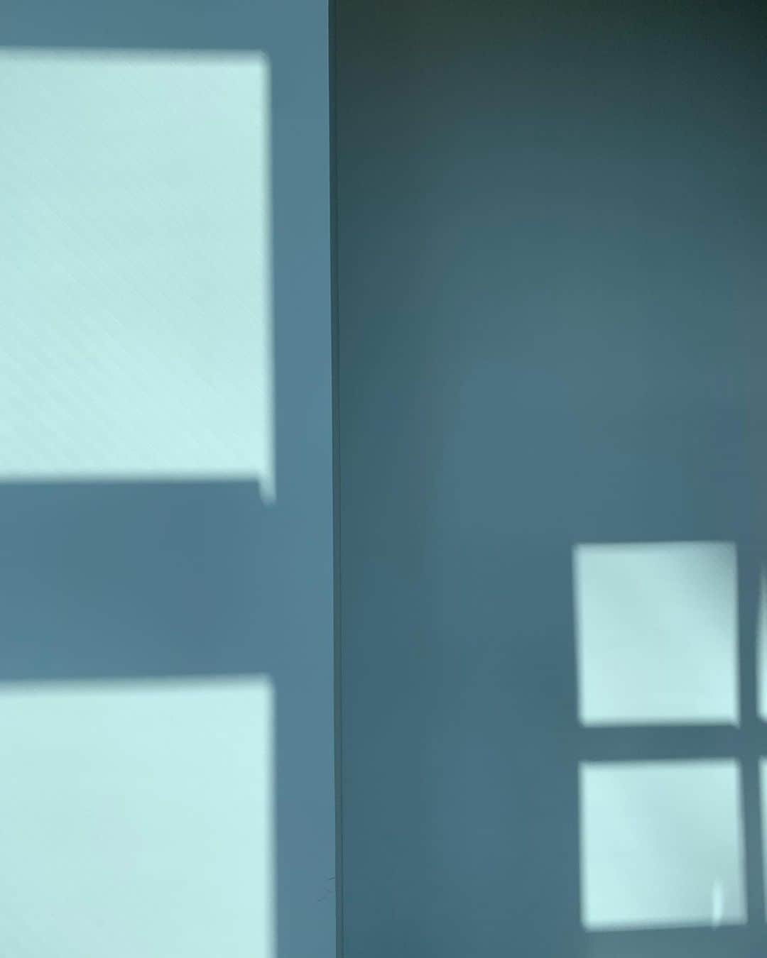 鈴木結女のインスタグラム：「壁にうつった窓枠の影がなんかいい感じだった #artizonmuseum #shadowandlight」