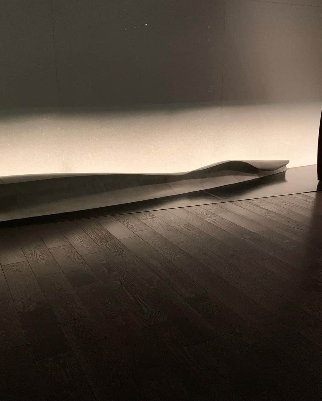 鈴木結女さんのインスタグラム写真 - (鈴木結女Instagram)「#artizonmuseum #shadowandlight」3月17日 22時59分 - yumelynx