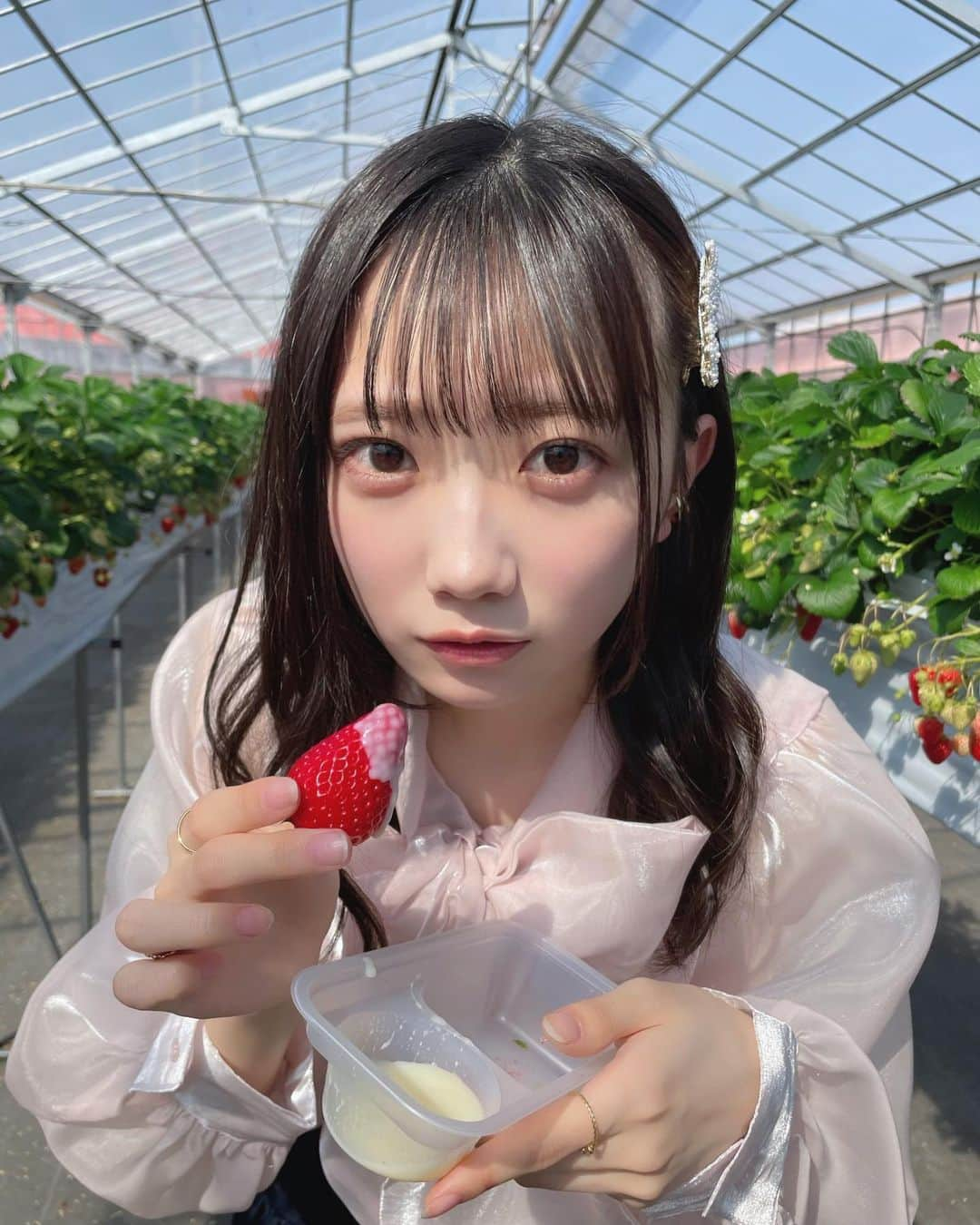 春海りおさんのインスタグラム写真 - (春海りおInstagram)「いちご狩りしてきた〜🍓🥛☁️」3月17日 23時01分 - rio_harumi