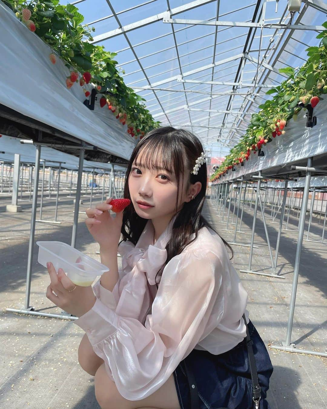 春海りおさんのインスタグラム写真 - (春海りおInstagram)「いちご狩りしてきた〜🍓🥛☁️」3月17日 23時01分 - rio_harumi