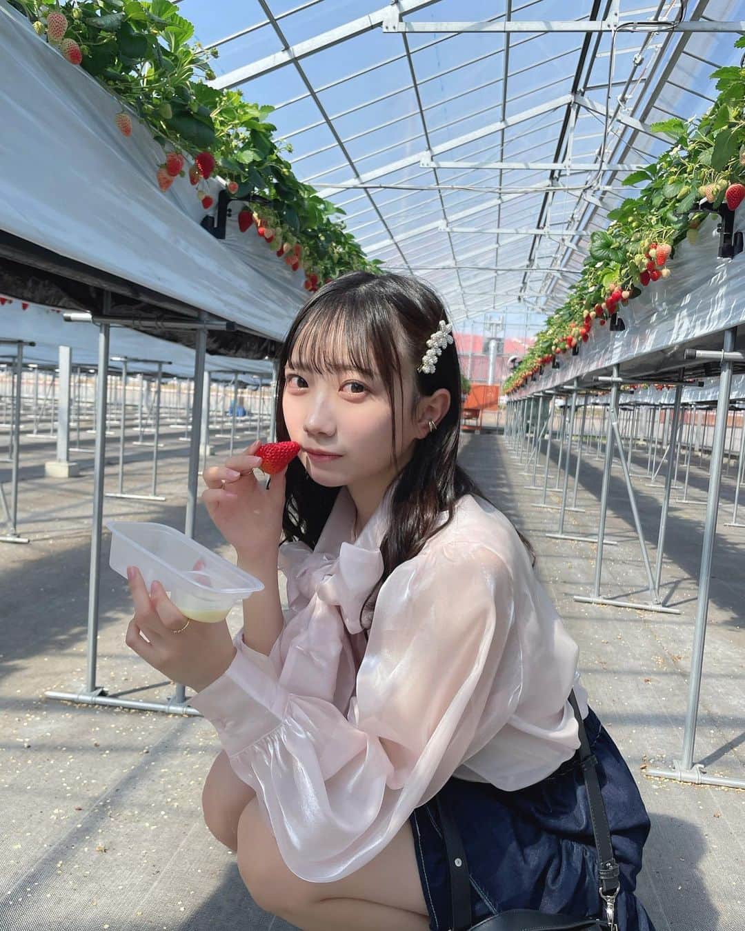 のインスタグラム：「いちご狩りしてきた〜🍓🥛☁️」