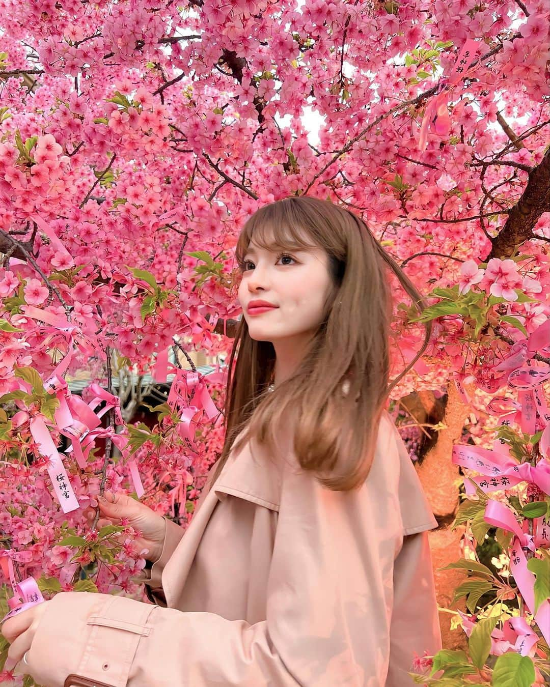 はるのインスタグラム：「⑅∙˚� ずっと行ってみたかった桜神宮⛩🎀 もう葉桜も混じってた🌱 期間限定の御朱印可愛すぎた🌸 * 私が監修して宝石職人が制作したオリジナルデザインリング💍 宝塚発祥ジュエリーブランド 匠の未来観@takumi_jewelry 大人可愛いサイズが変わるピタリング！ サイズを答えなくていいからプレゼントにいいし 指の太さが変わっても簡単にぴったり快適✨  いつも見ていただいているみんなのために特別に 匠の未来観 楽天市場店で使えるコラボクーポンをいただきました✨ 注文の際、オプションコードに記入で割引適用されるので ぜひ使ってみてね❤︎ 200円OFFクーポンコード 🎟 harurun1216in200 * * PR #オリジナルアクセサリー #オリジナルリング #オリジナルスマホリング #おすすめアクセサリー #匠の未来観 #アクセサリー通販 #スマホリング #桜神宮 #桜新町 #桜新町カフェ #桜神宮御朱印 #お花見 #お花見コーデ #ピンクコーデ #春コーデ #中華メイク #韓国コーデ #韓国ヘア #ヨシンモリ #桜 #桜満開 #japanesegirl #japantrip #japantravel」