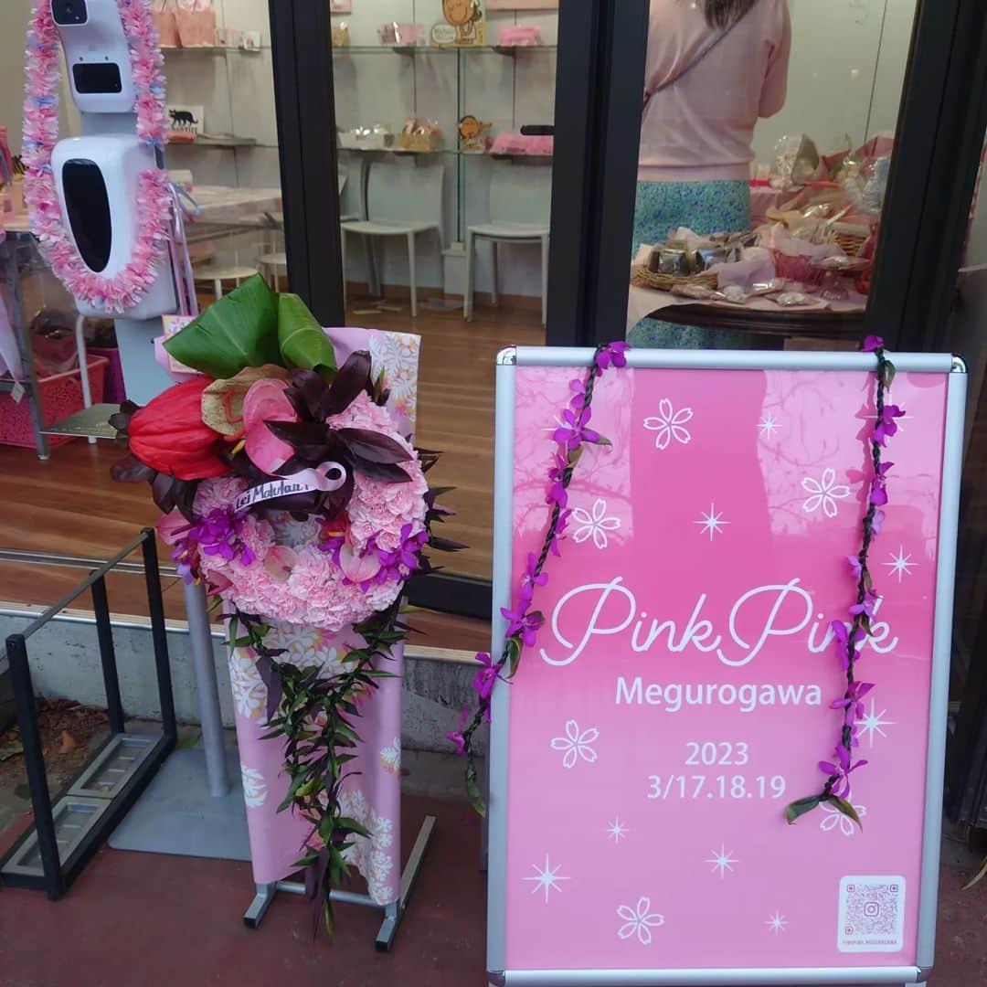 渡辺めぐみさんのインスタグラム写真 - (渡辺めぐみInstagram)「今日は、優ちゃんとpinkのイベントに遊びに行きましたよ🙂⤴️  物づくりの大好きな人、是非、行ってみてください。  優ちゃんは、前からやりたかったリボンレイをやり、パイナップルを作ってました🙂⤴️⤴️  可愛いものも、沢山売っているので楽しいですよ🫰🫰🫰  場所は、、中目黒レンタルスペースさくらです❢  ピンクは、ウキウキワクワクしますね💕  さくらも咲いて、桜を眺めながら作品を作りませんか？  明日、明後日19日迄開催してます🙂  お時間のある方、足ん運んでみてね🙂👍  #ピンク #さくら #ものづくり #ウキウキワクワク #instagramjapan  #instagramgood  #instagramlike  @yuyuhayami  @ipolani_yoko  @pinkpink_megurogawa」3月17日 23時32分 - meguheart