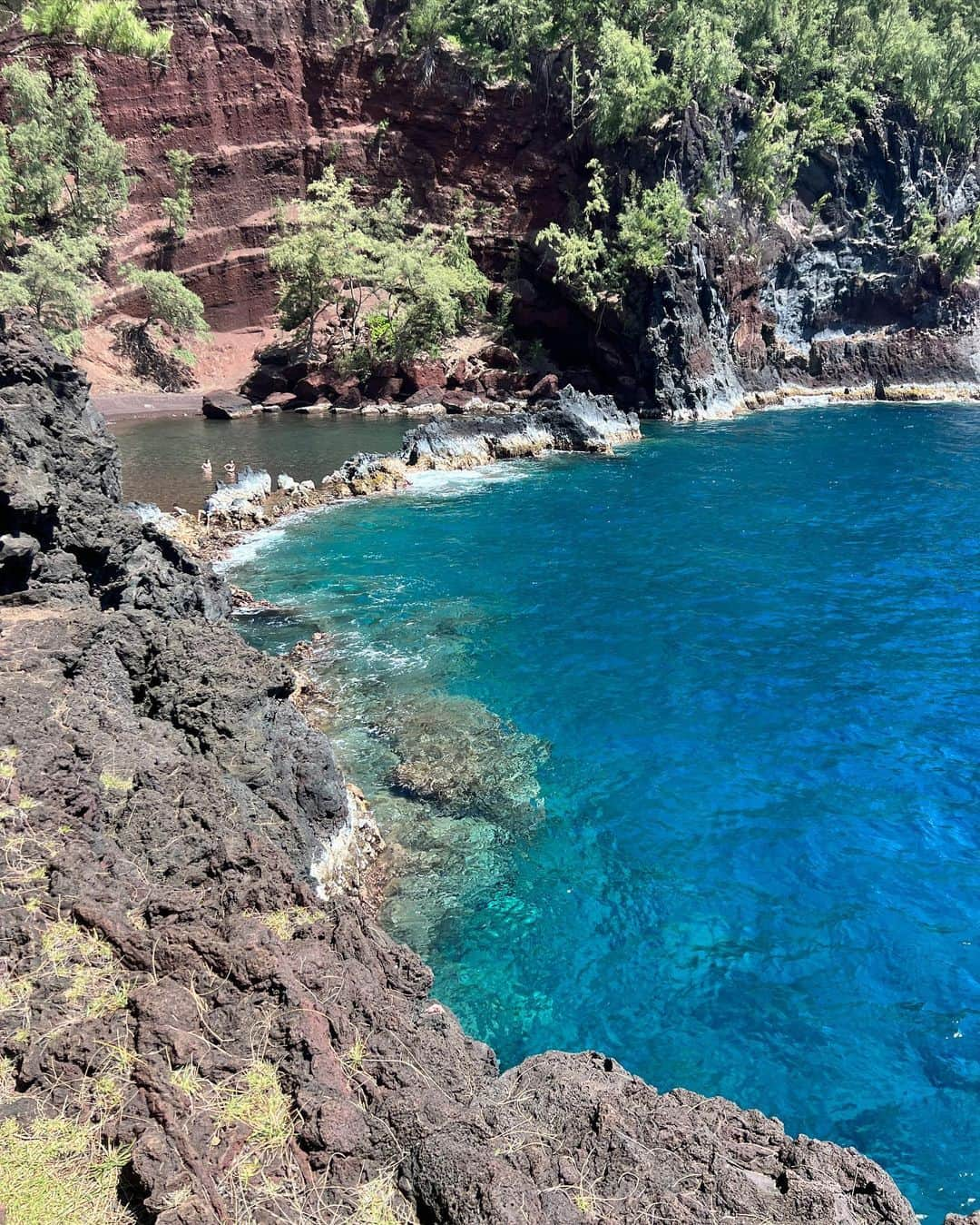 Jessica Weaverさんのインスタグラム写真 - (Jessica WeaverInstagram)「Some of Hawai’i flavor for ya darlin   #maui #hawaiistagram #hawaii #hawaiilife」3月18日 0時58分 - jessicakes33