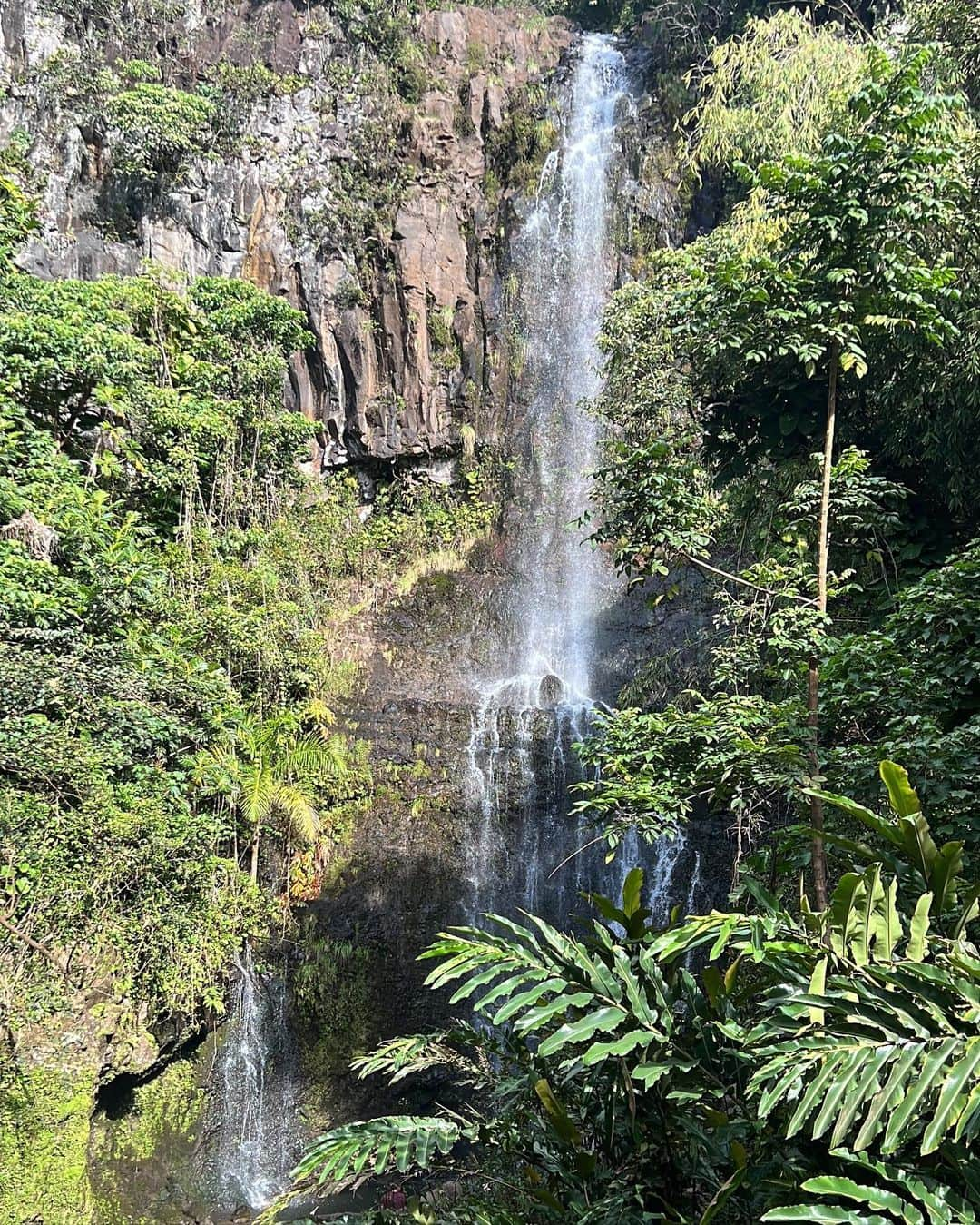 Jessica Weaverさんのインスタグラム写真 - (Jessica WeaverInstagram)「Some of Hawai’i flavor for ya darlin   #maui #hawaiistagram #hawaii #hawaiilife」3月18日 0時58分 - jessicakes33