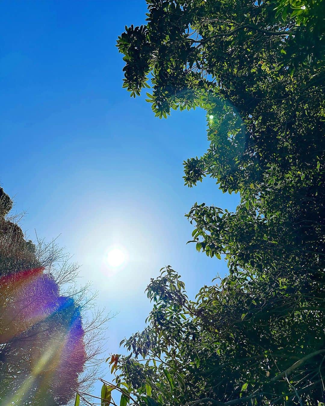 ririのインスタグラム：「🌞🌿」